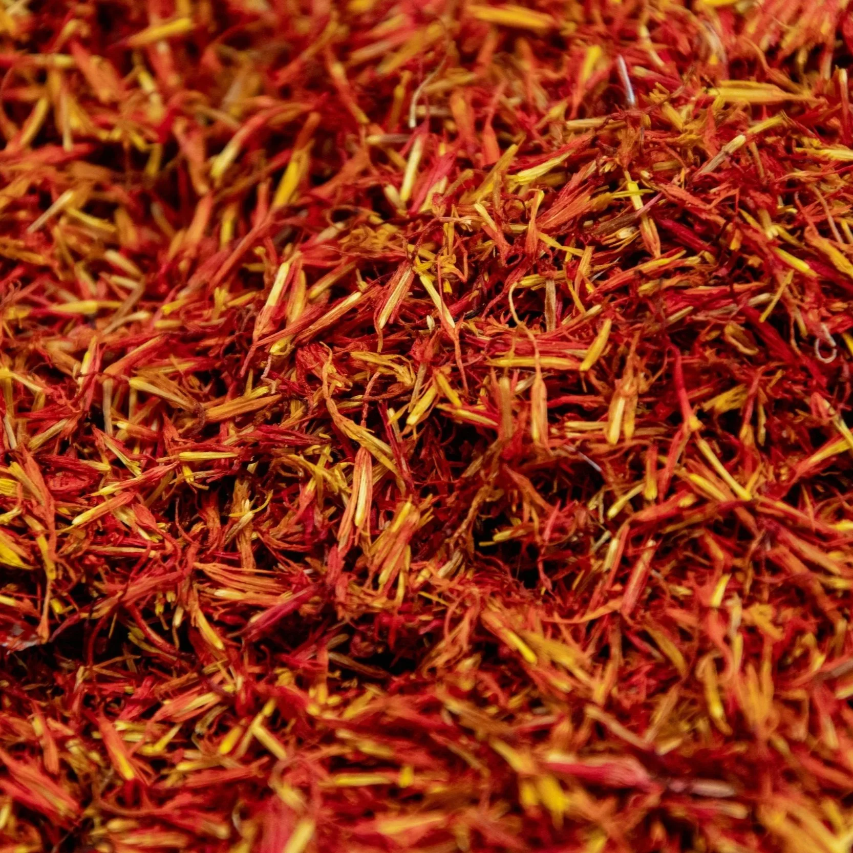 Saffron+Image.jpg
