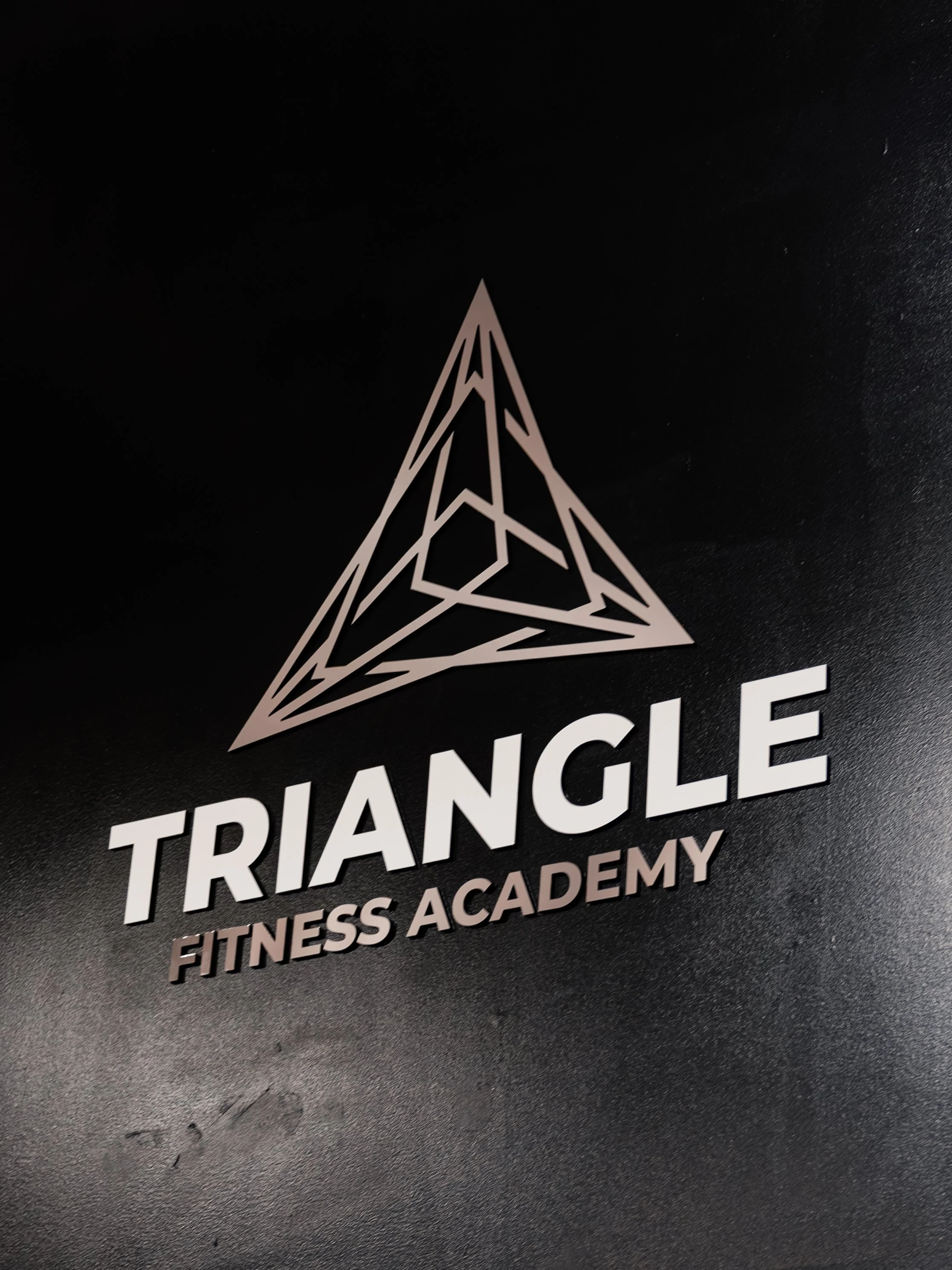 001_TRIANGLE_ACADEMY.jpg