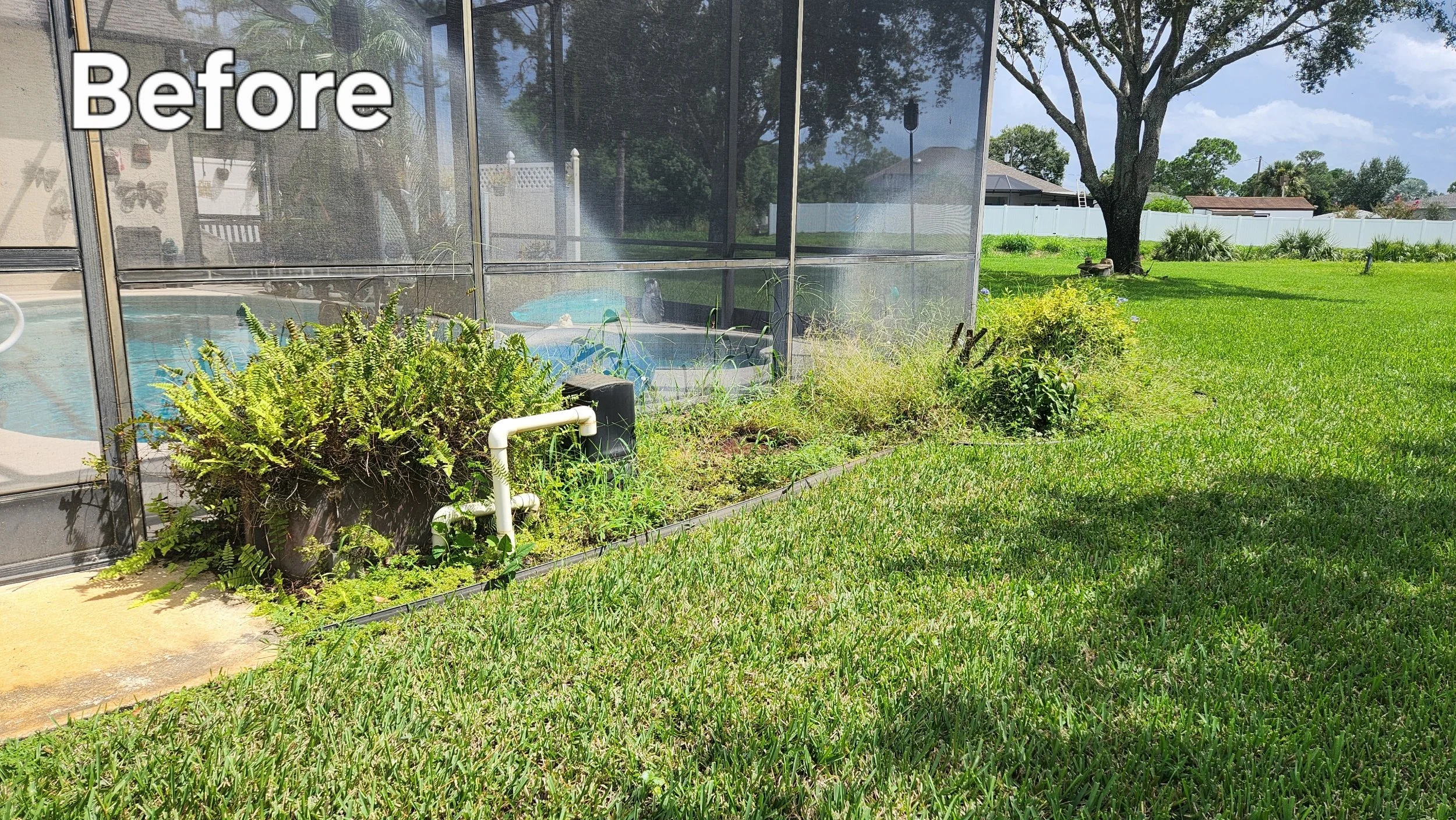 A backyard with a green lawn, a large tree, and a screened porch with plants. The porch has a view of neighboring houses and a white fence. The image is labeled 'Before' in the upper left corner.