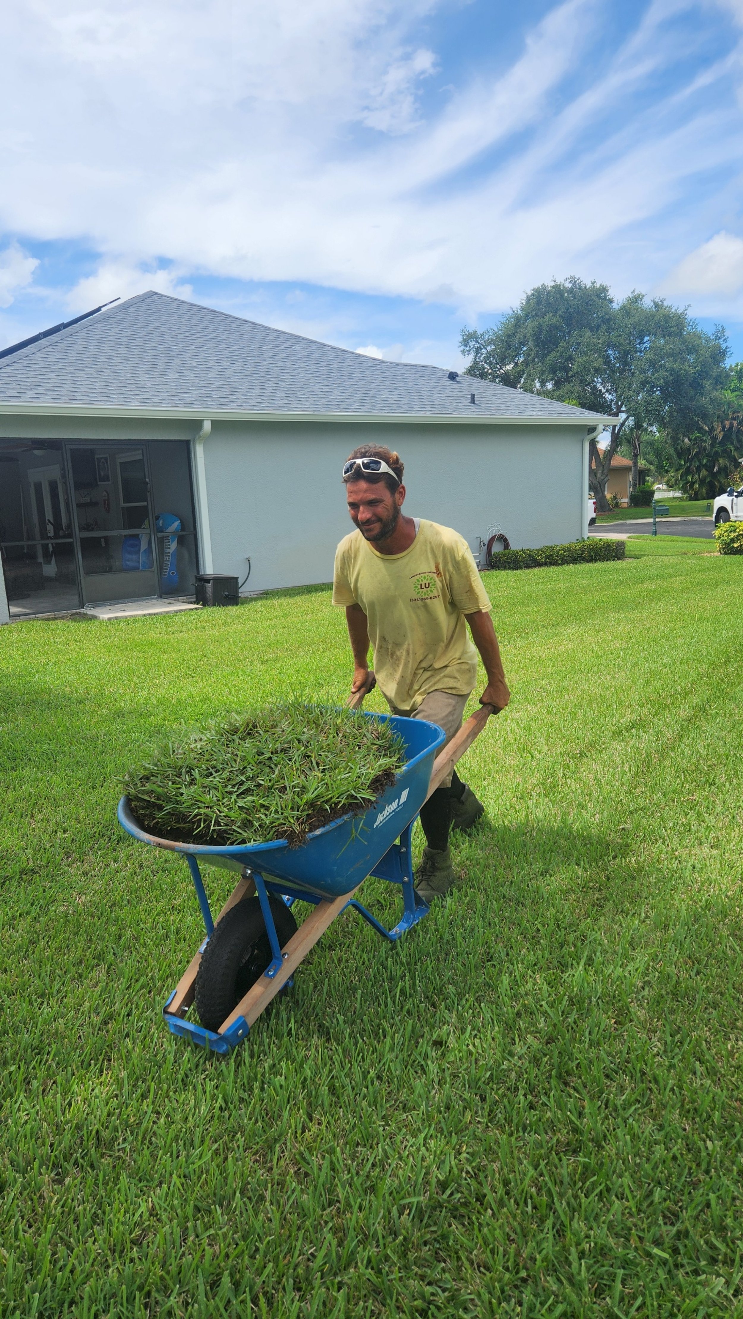 A man in a yellow t-shirt pushing a blue wheelbarrow filled with grass clippings on a lush green lawn.