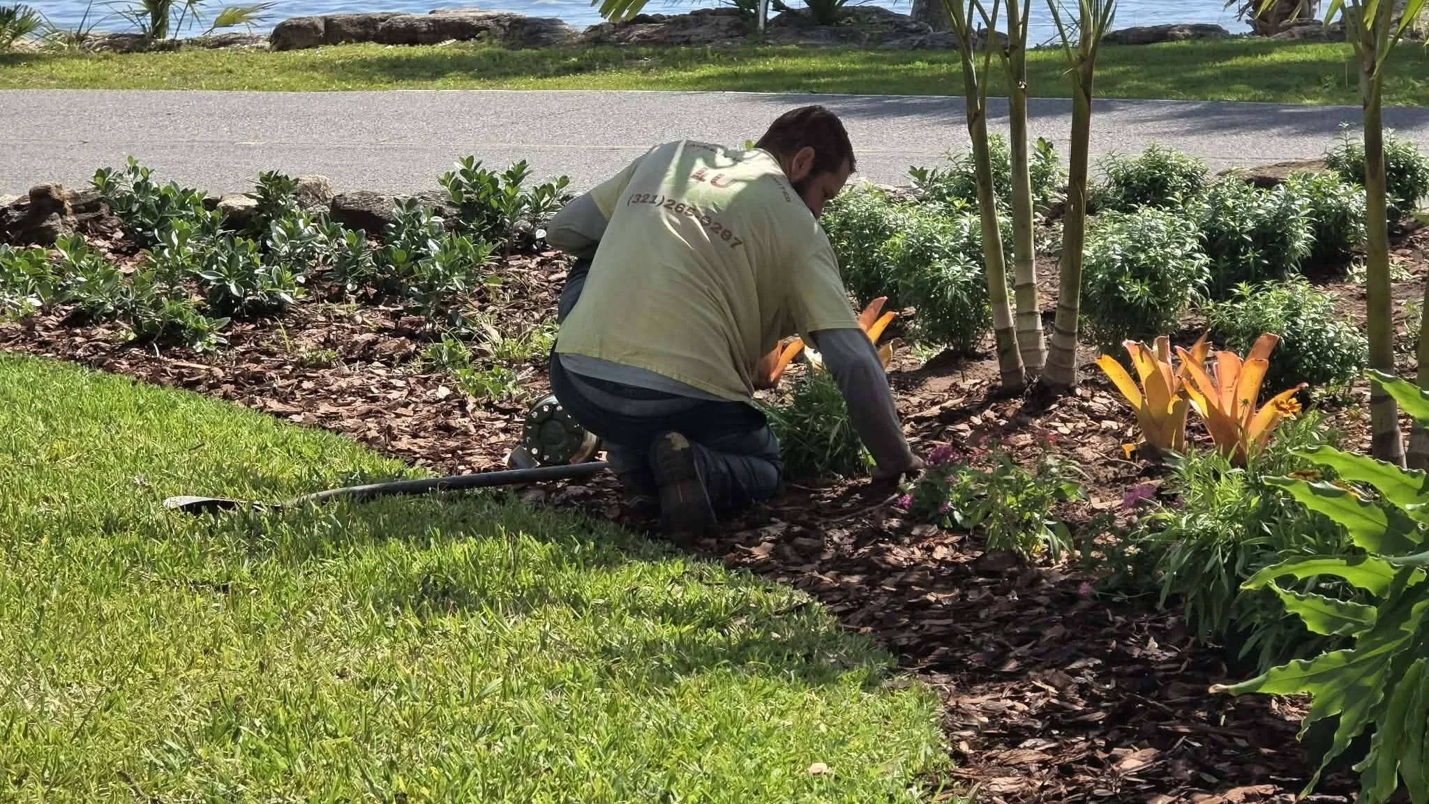 A person crouched down, gardening among green plants and bushes along a flower bed near a road, with trees and water in the background.