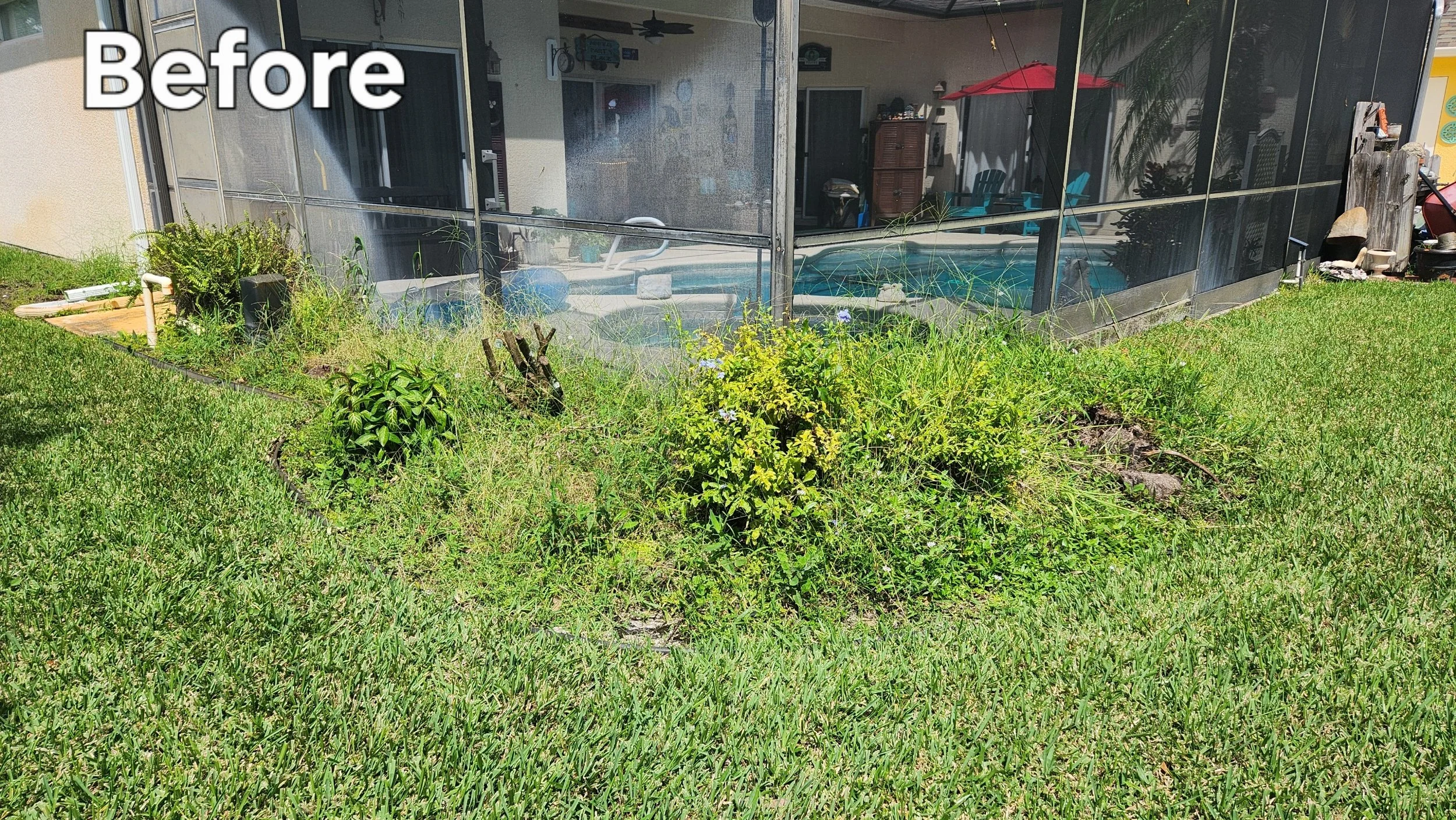 Backyard view showing a screened-in patio with outdoor furniture and a pool, surrounded by green grass, plants, and some gardening tools and supplies.