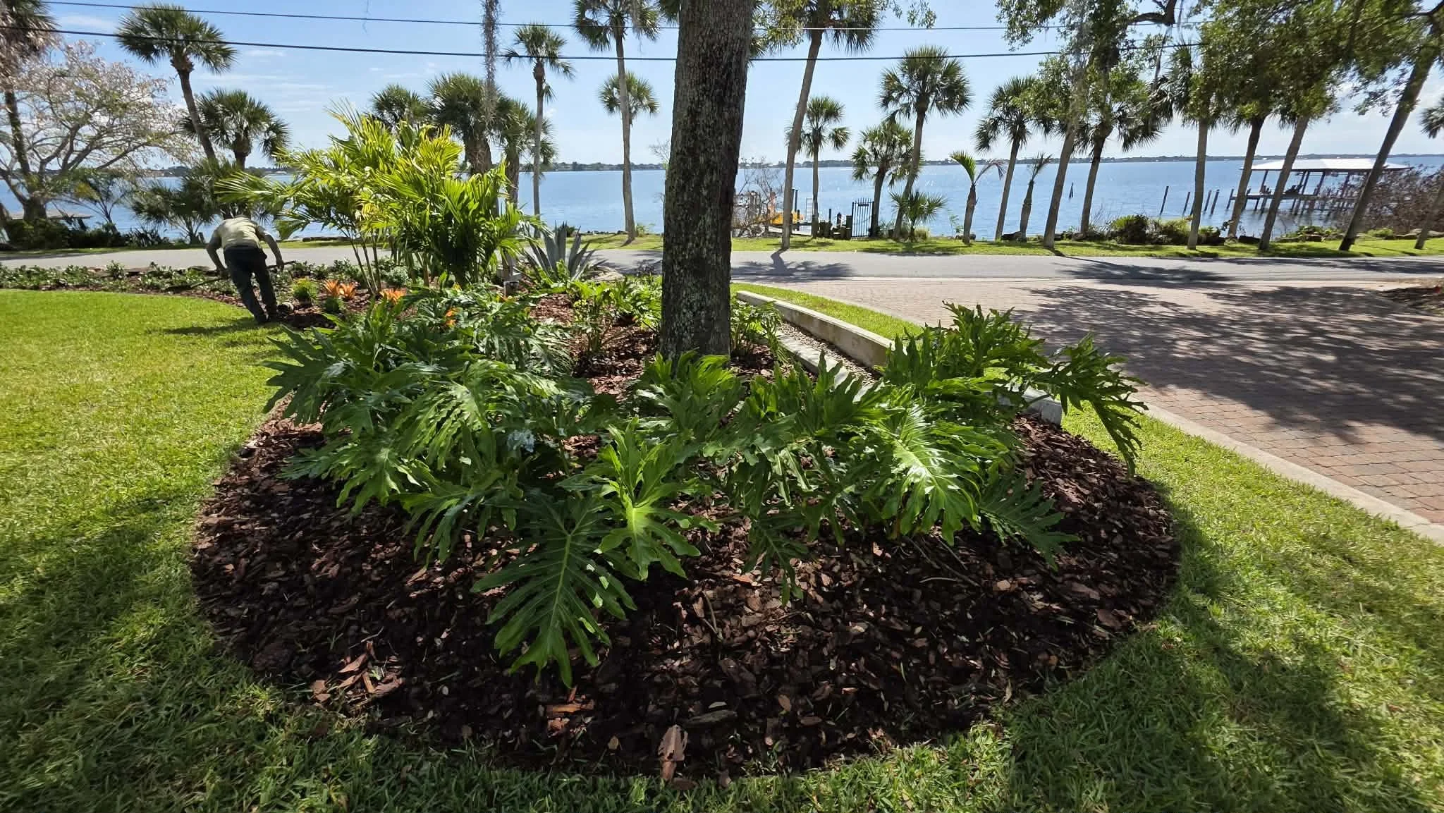 A landscaped garden with lush green plants and shrubbery, a tree trunk in the center, a paved walkway, and a view of water and boats in the background under a blue sky.