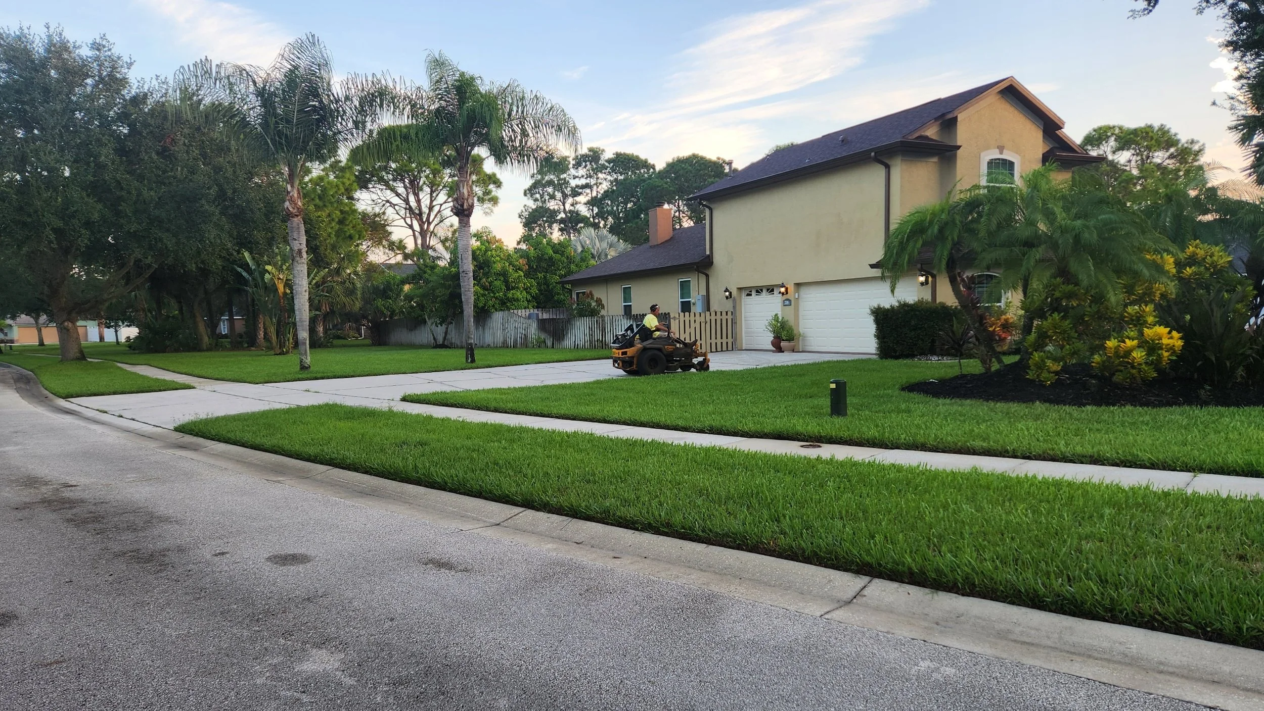 A suburban house with well-manicured lawn, palm trees, and a man riding a riding lawn mower.