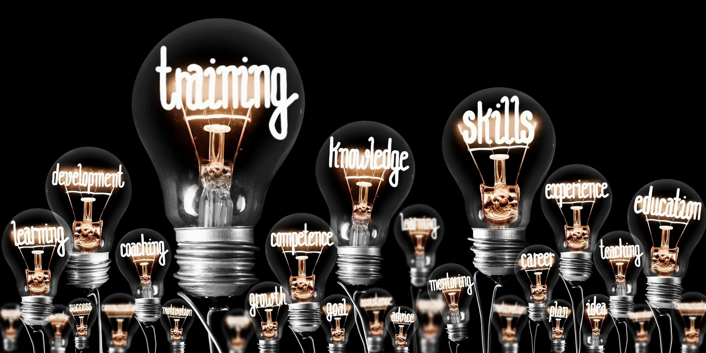 Multiple illuminated light bulbs with words related to personal and professional development written inside each bulb, including training, skills, knowledge, education, development, coaching, success, motivation, growth, goal, advice, career, plan, idea, and experience, against a black background.