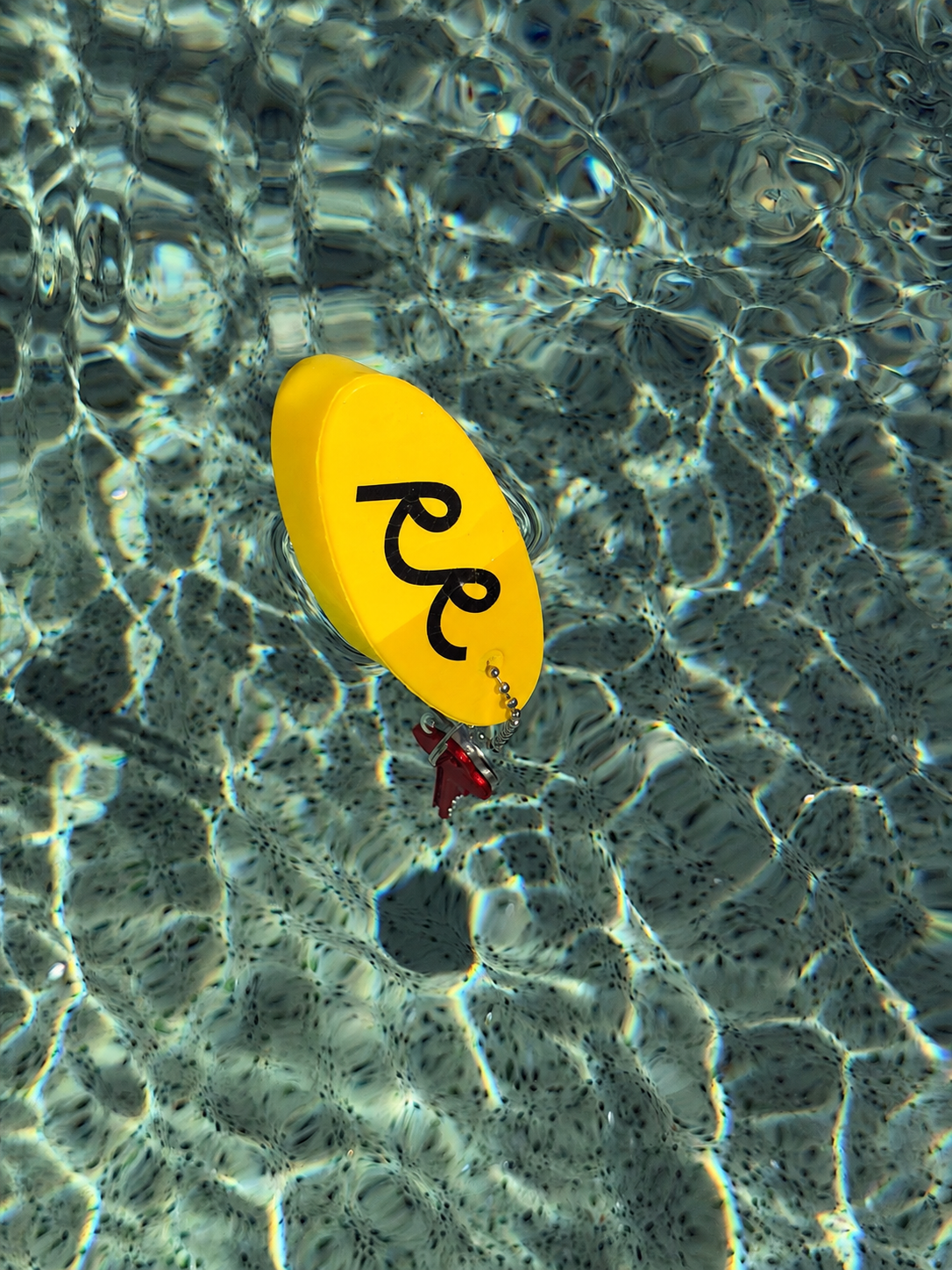 D06E3D02-36AF-48C9-8BEF-2E6ACC037870.PNG