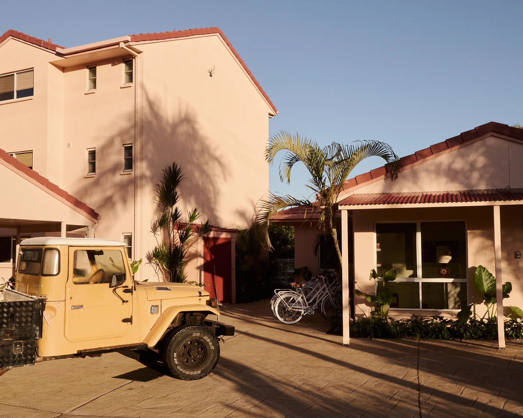 The Roy0974.jpg