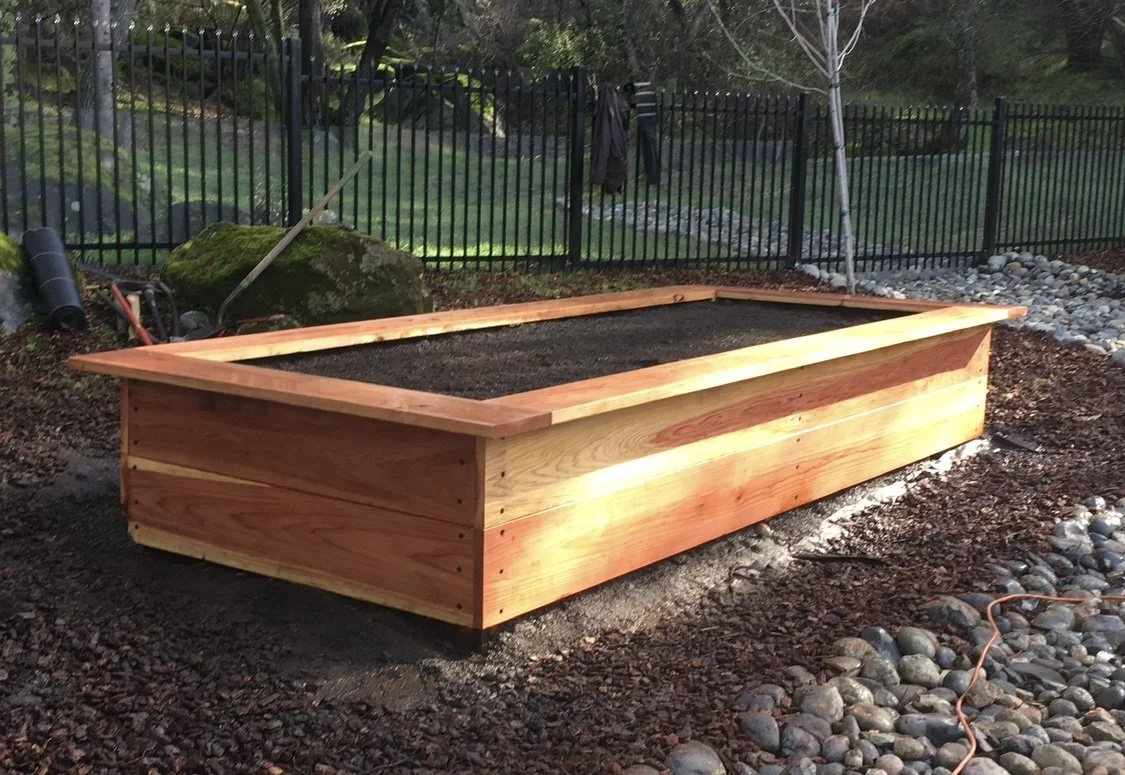 gardenbed.jpg