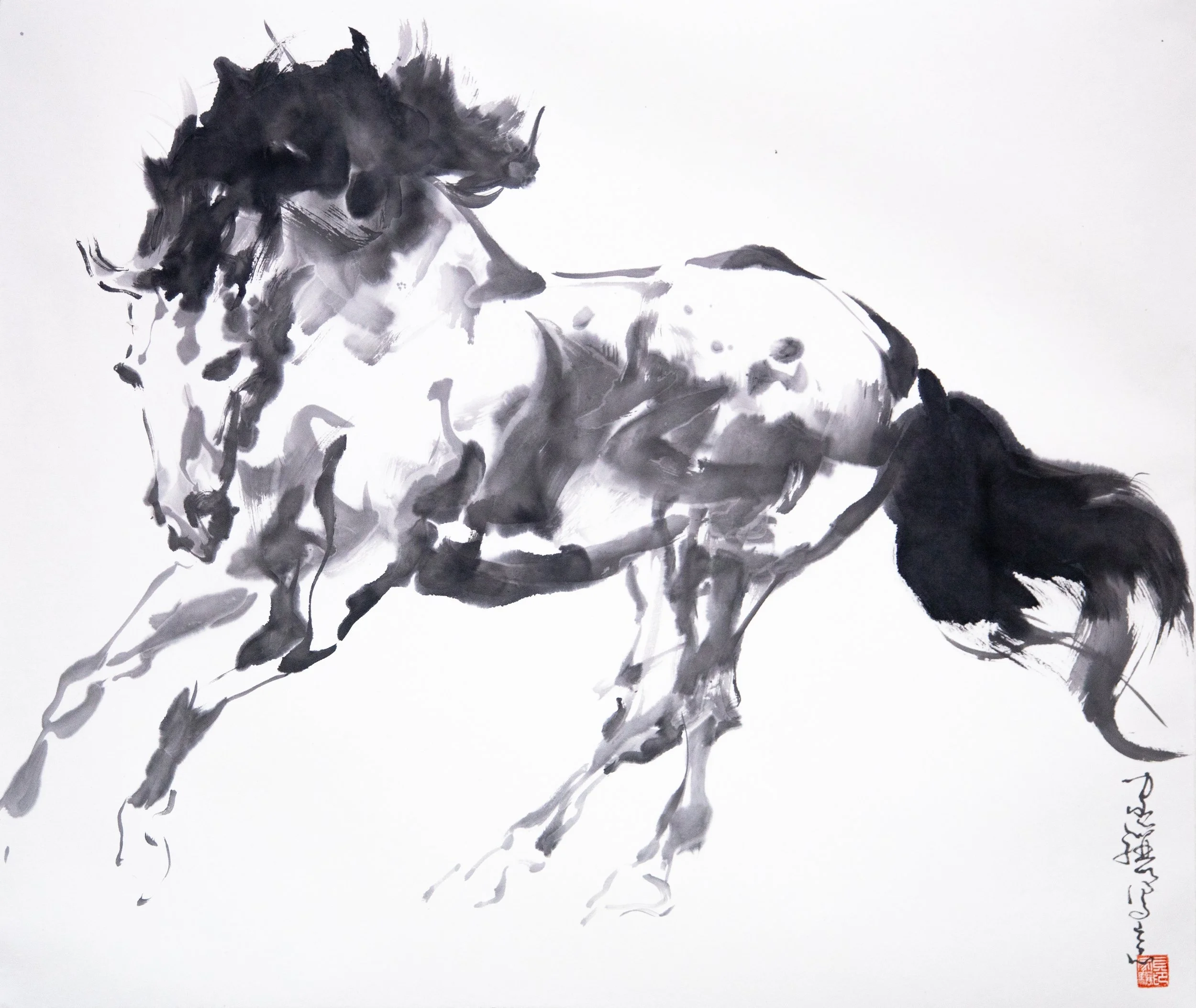 贝家骧 墨骧系列二 19 Ink Horse II 19 纸本水墨70×59cm 2024.jpg