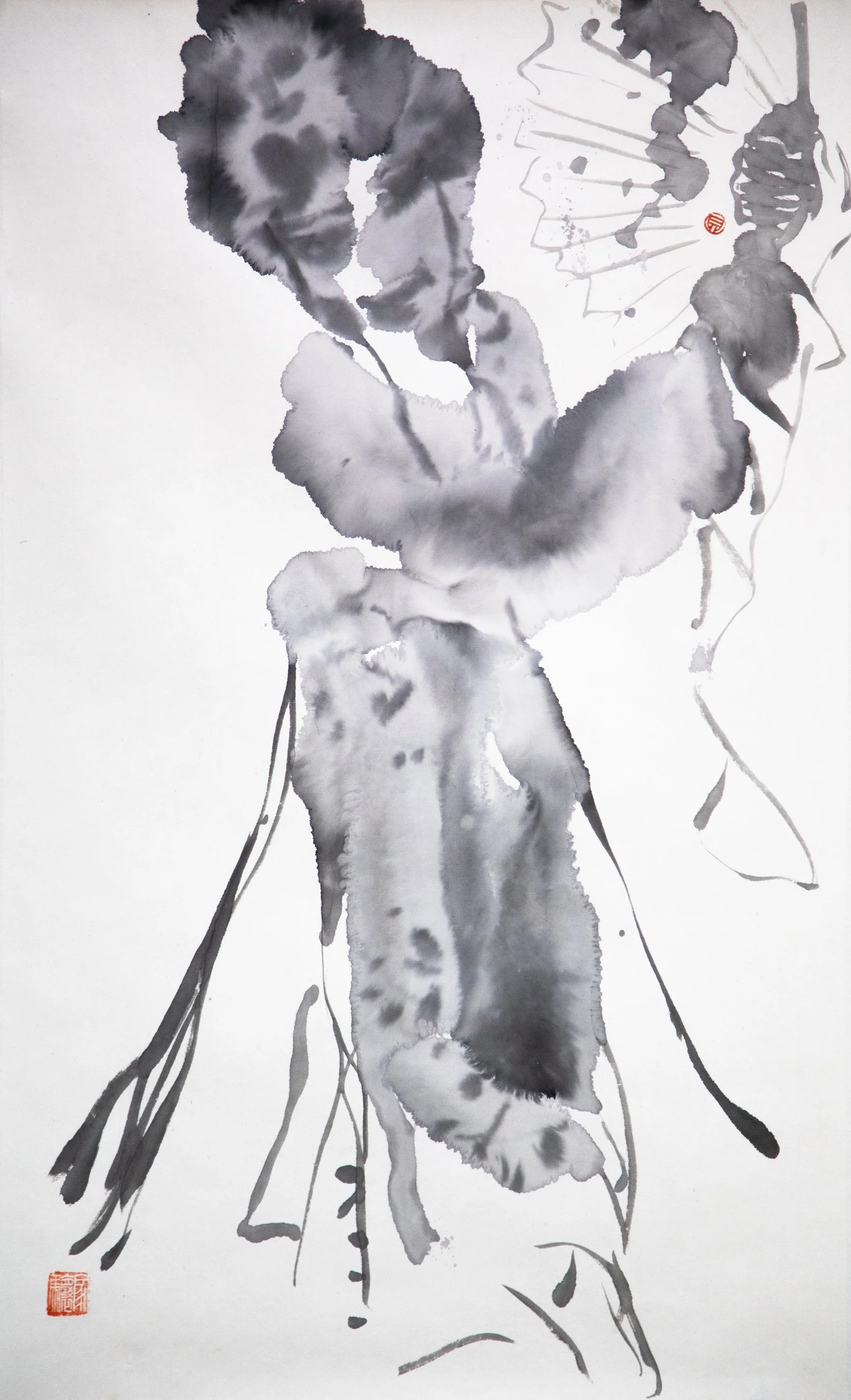 贝家骧 戏曲人物02 Opera Figure 02 纸本水墨 48×79cm 2024.jpg