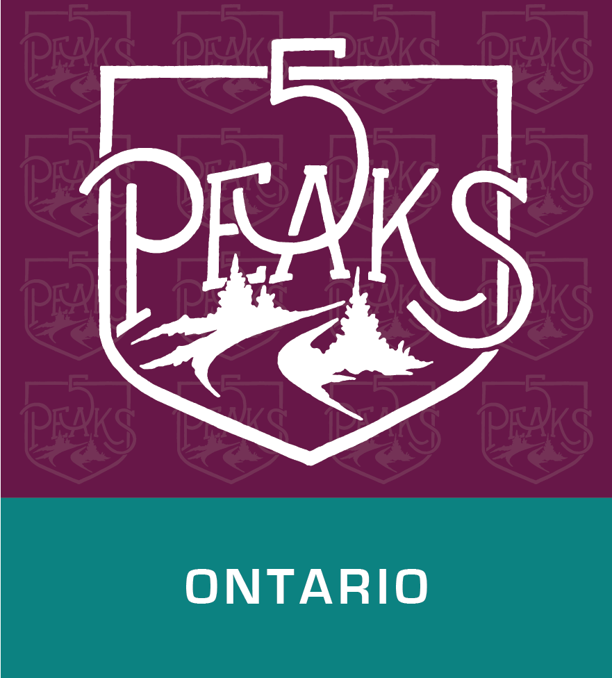 A sign featuring the number 5 and the word PIKS inside a shield outline, with a mountain landscape and trees below. The background is purple with a repeating pattern of the logo, and the word ONTARIO is written at the bottom.