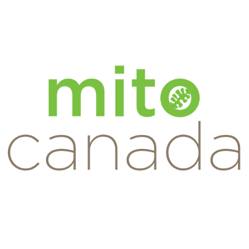 Stacked Mito Logo.png