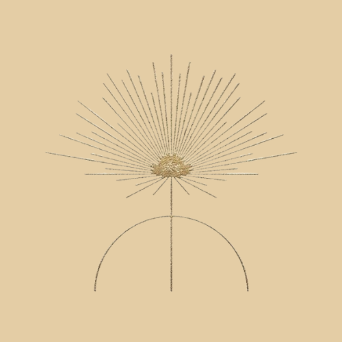 EMDR and the Nervous System: Healing Trauma Through Connection and Reprocessing