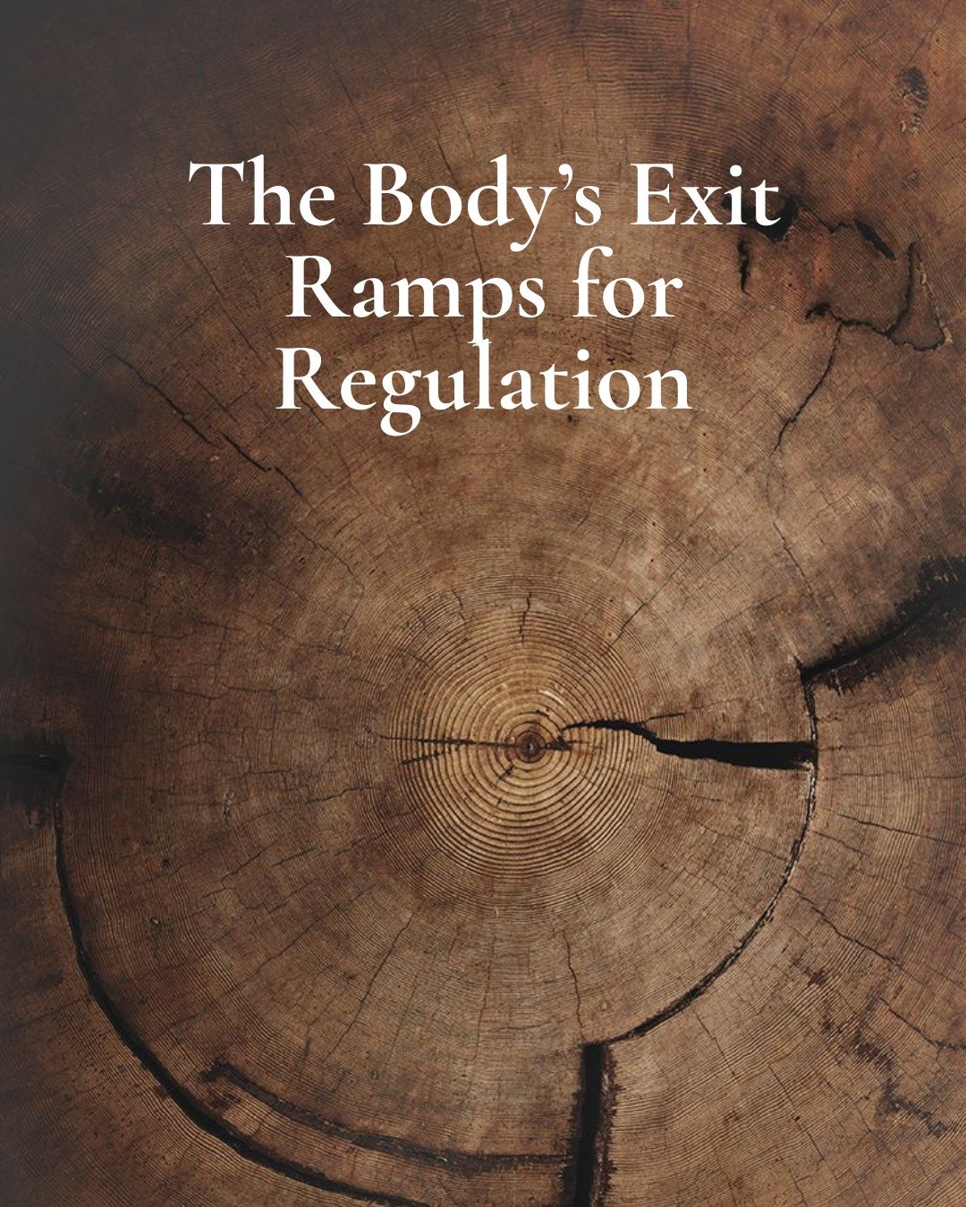 Your body is built with exit ramps for regulation.

Stress is meant to move and resolve. Shaking, tears, breath, movement &mdash; these aren&rsquo;t problems to fix, but pathways out.

Regulation isn&rsquo;t suppression.
It&rsquo;s letting the body c