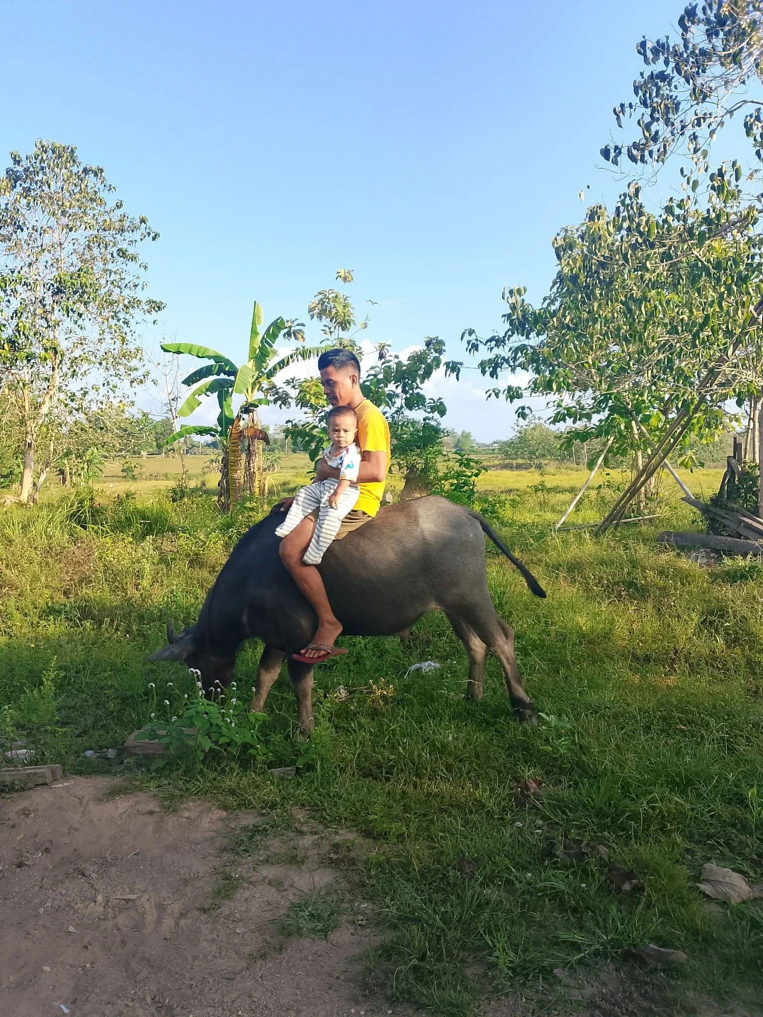 A young man and a small child riding on a buffalo in a rural area with green grass, trees, and a clear blue sky in the background.