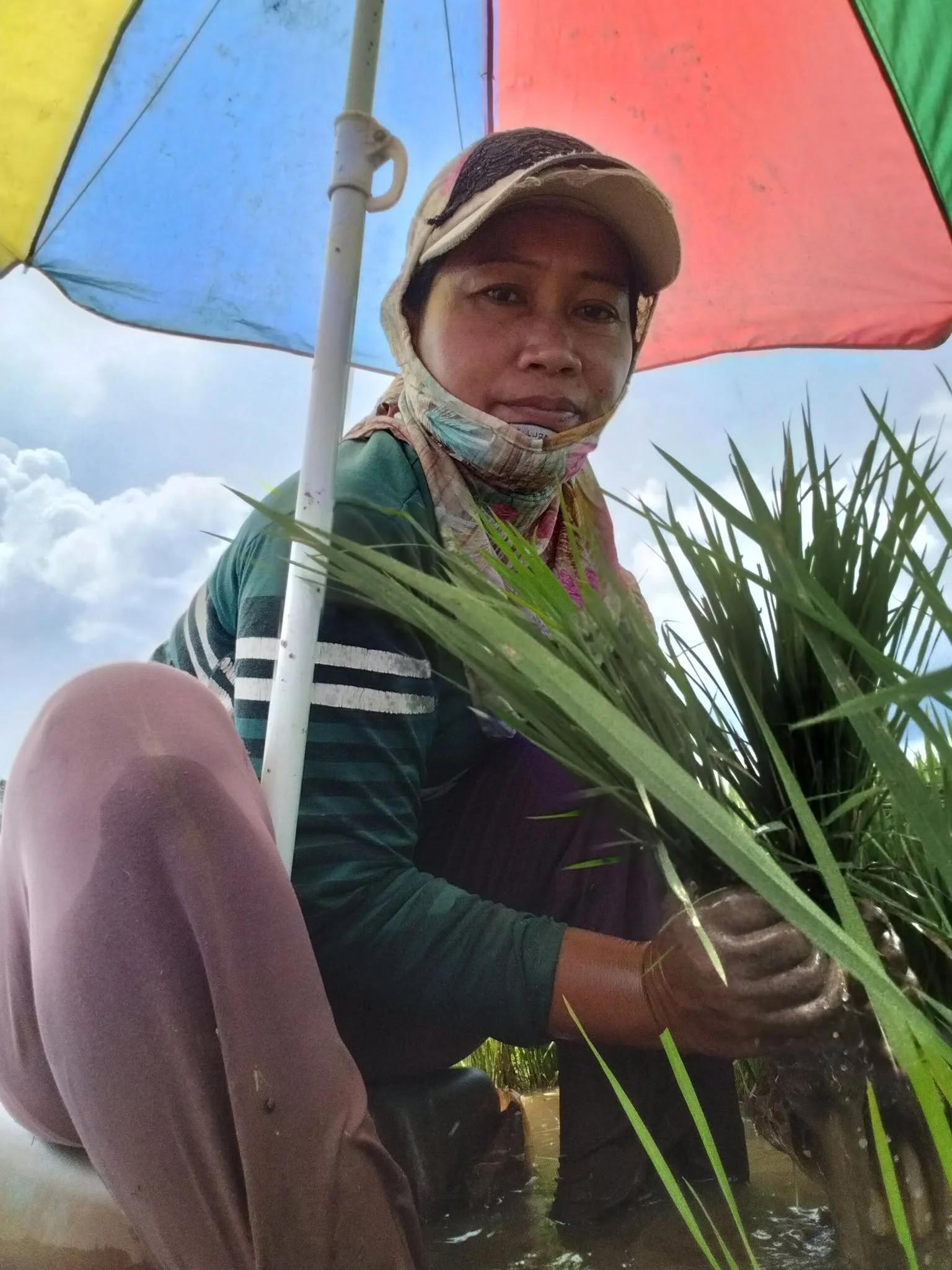 A person wearing a hat, face mask, and long-sleeve shirt, sitting under a colorful umbrella, surrounded by plants, with a partly cloudy sky visible in the background.