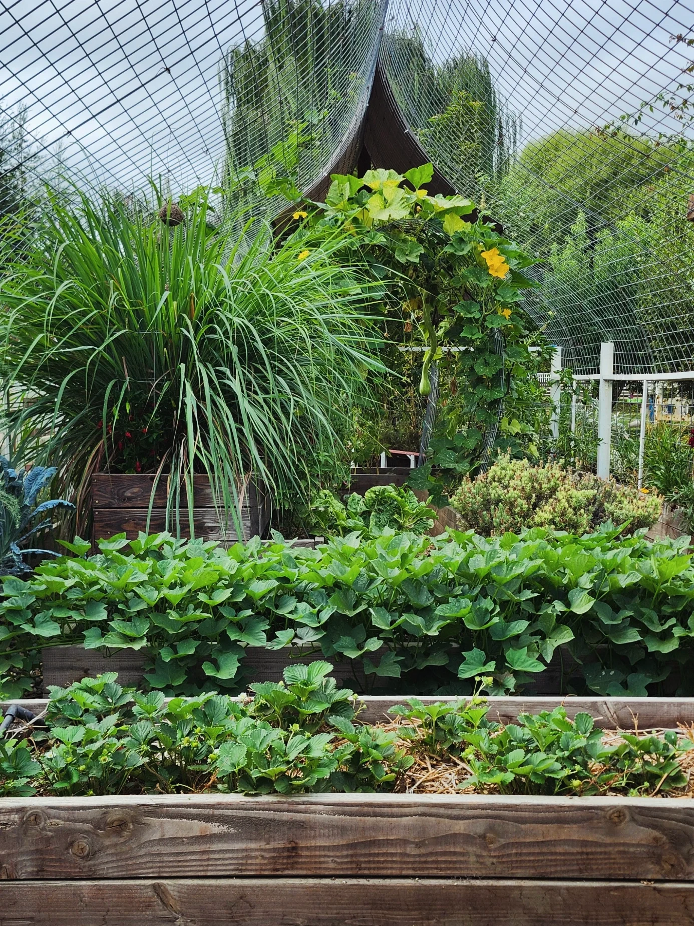 IMG_20250910_145539_404 (1).webp