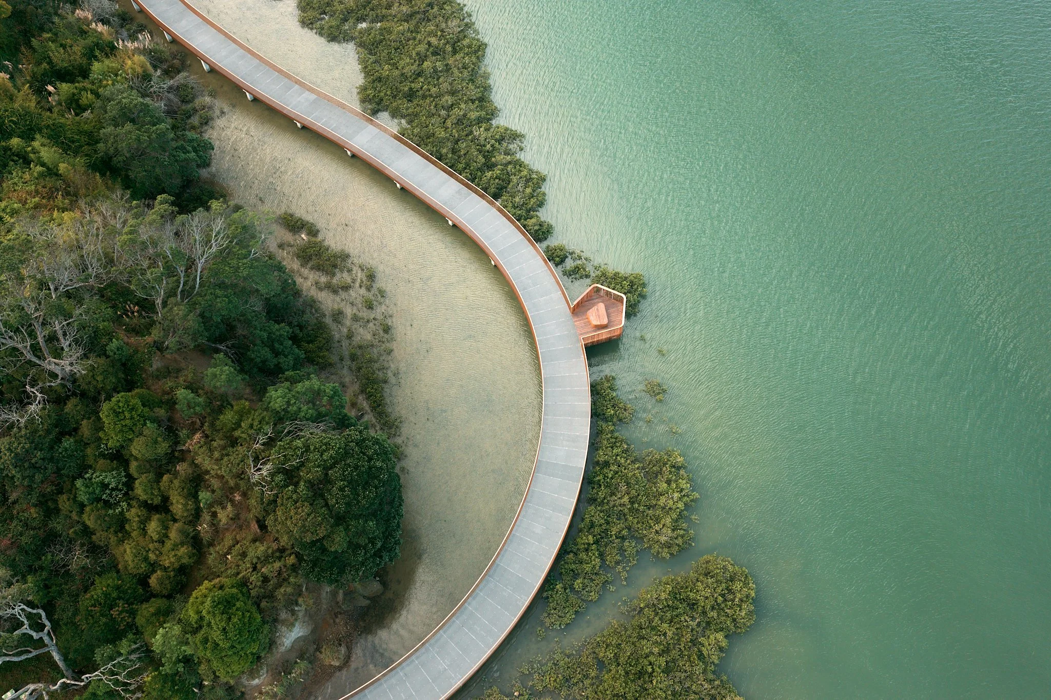 Te Whau Petra Leary 2.jpg