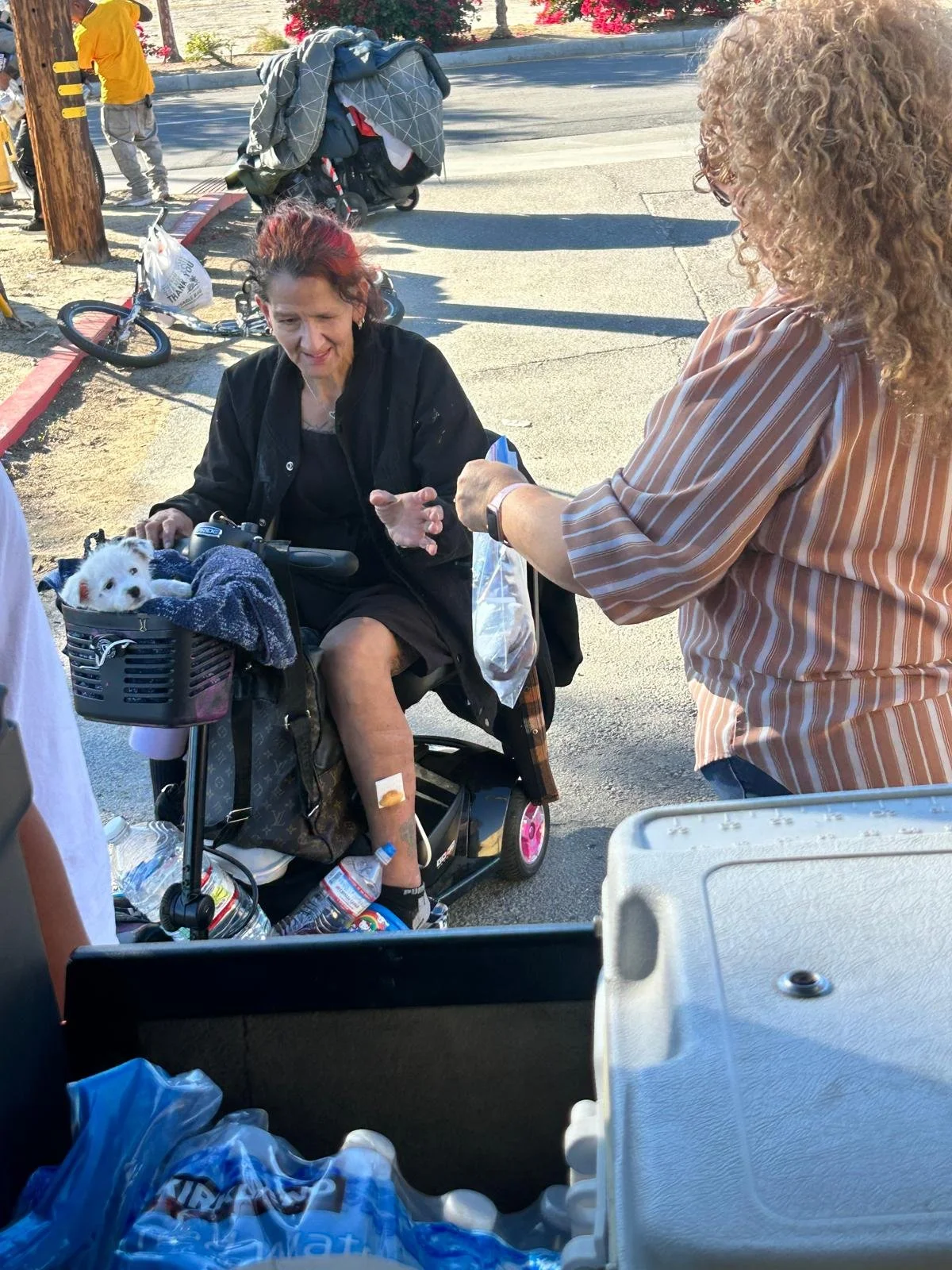 A woman in a wheelchair with a small white puppy in a basket, talking to another woman on a sidewalk. Items like water bottles, a bag, and a cooler are in the foreground. In the background, people and a bicycle are visible.
