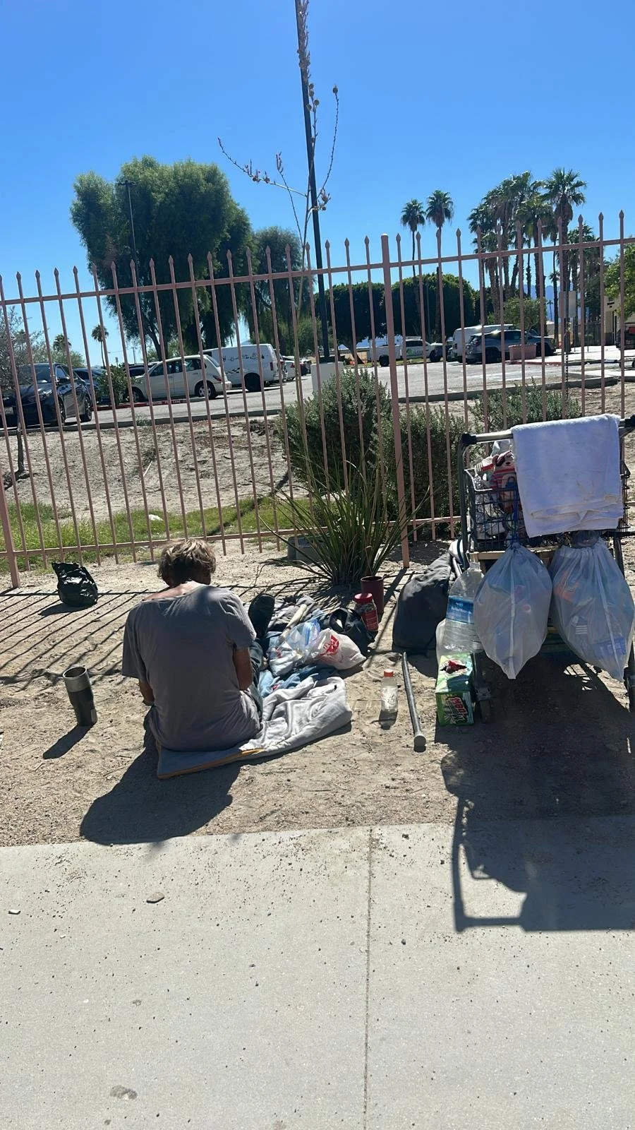 A person sitting on a blanket by a fence in a sunny outdoor area with parking lot and palm trees in the background. There are bags, bottles, and a shopping cart with bags nearby.