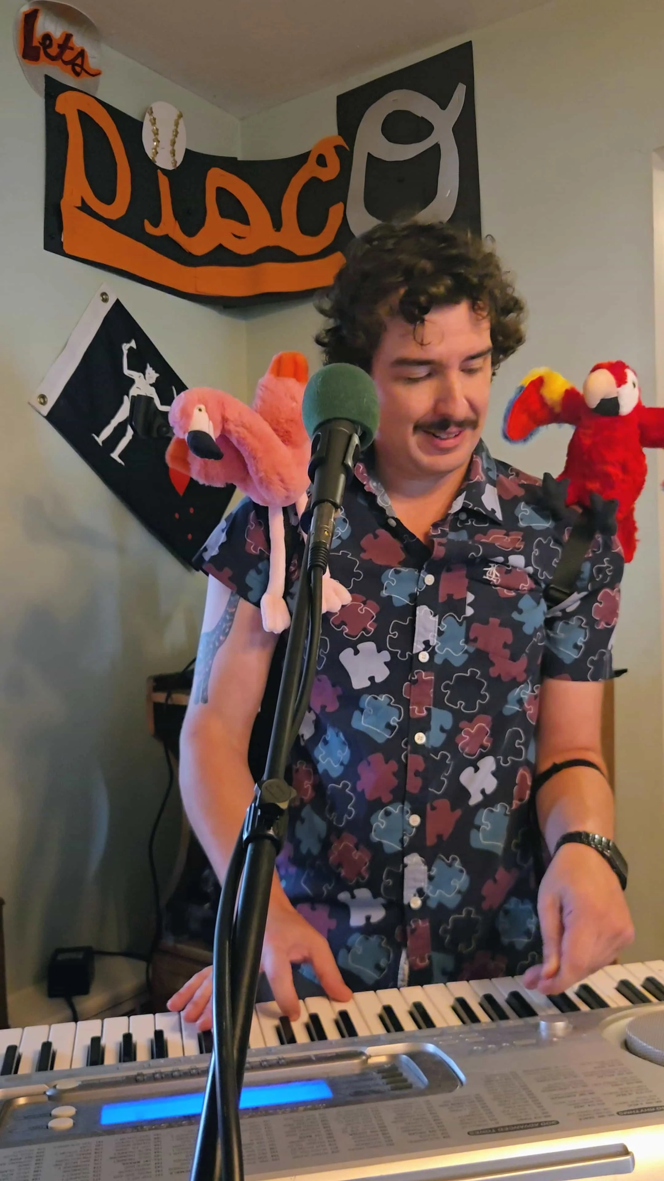 A man with curly hair and a mustache playing a keyboard with a plush pink flamingo &  red parrot on his shoulders during a performance practice