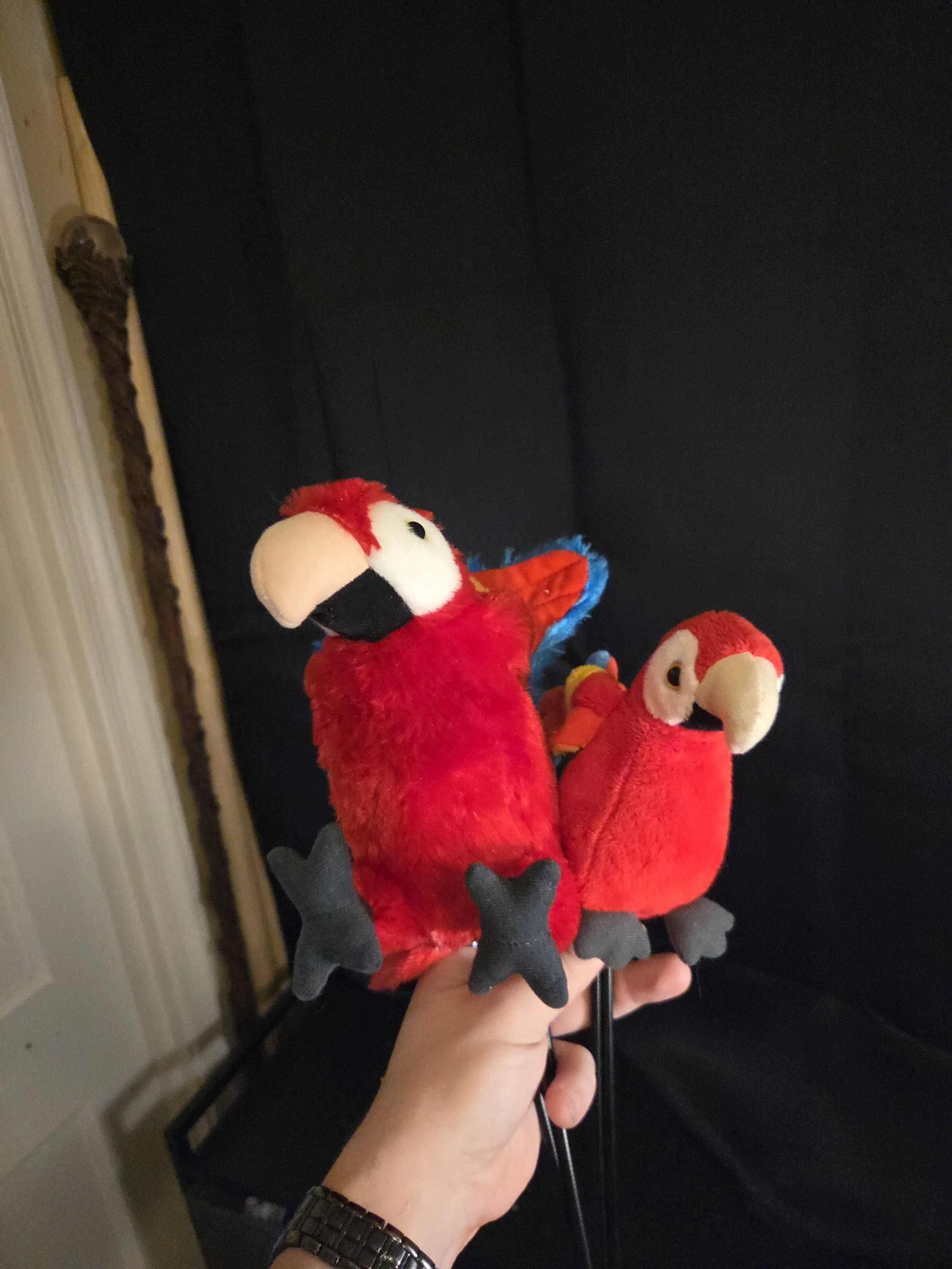 20251128_104908.jpg (Copy)