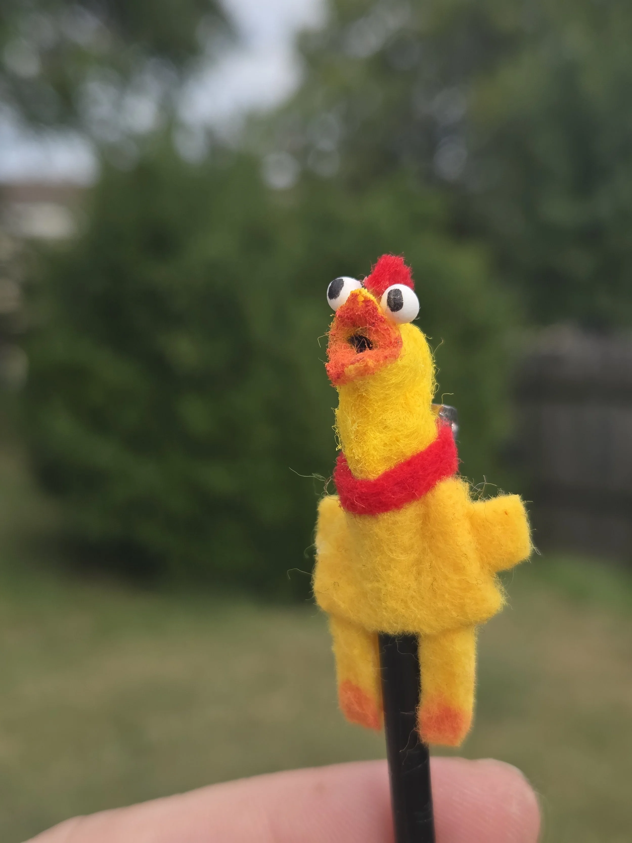 20260911_160101.jpg