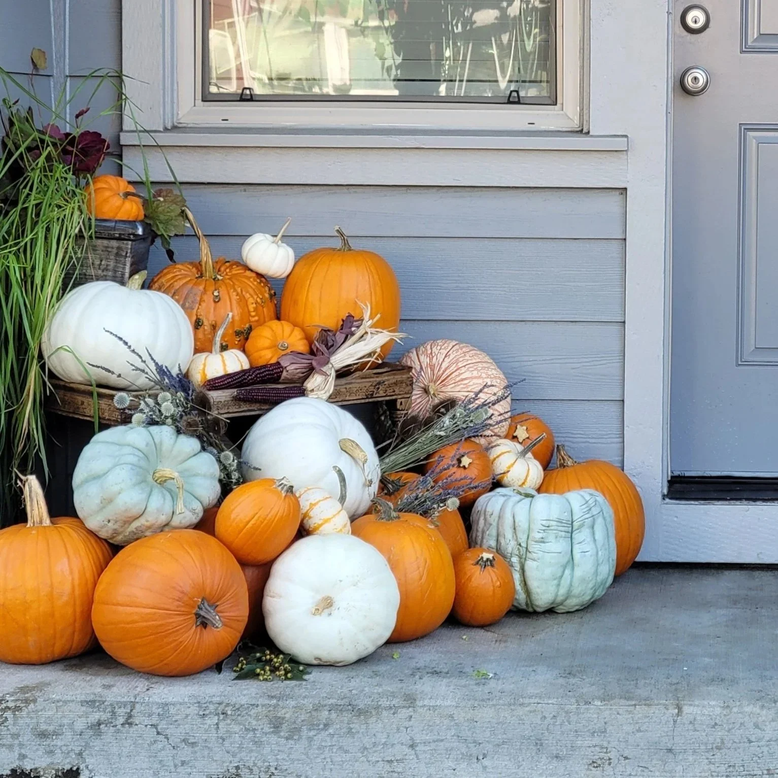 Designed Pumpkin Porch Services