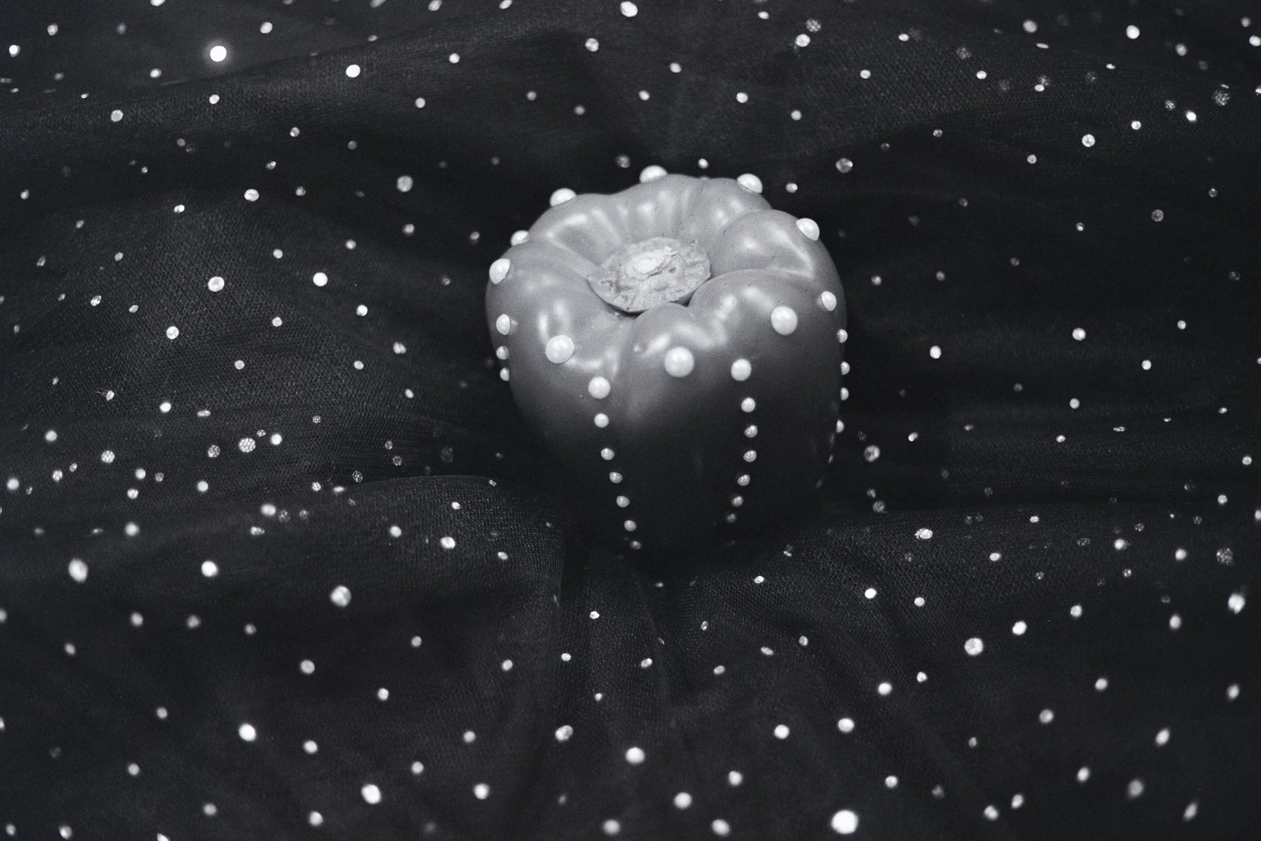 Bedazzled - Bell Pepper - 2025