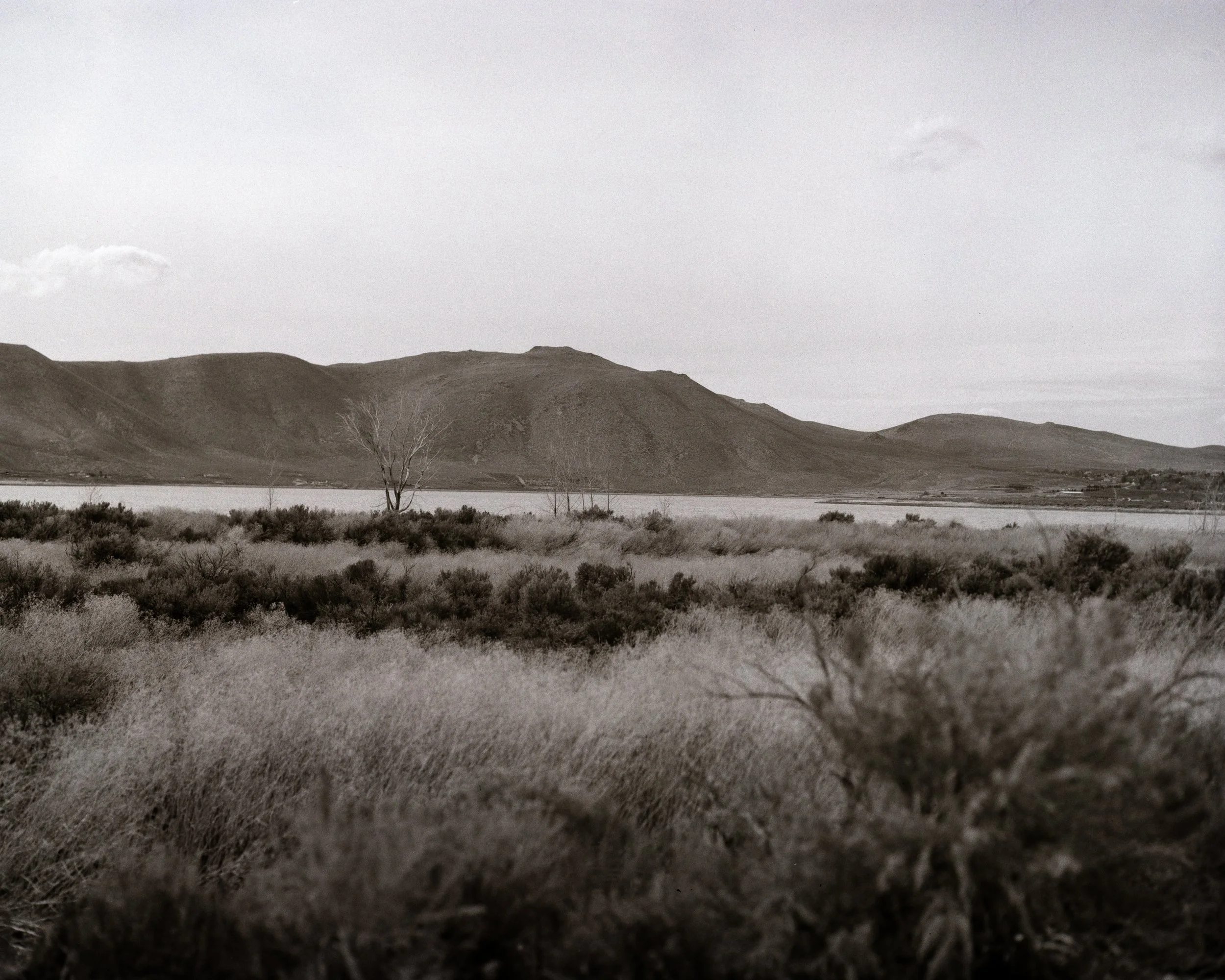 4x5 Film - 2026