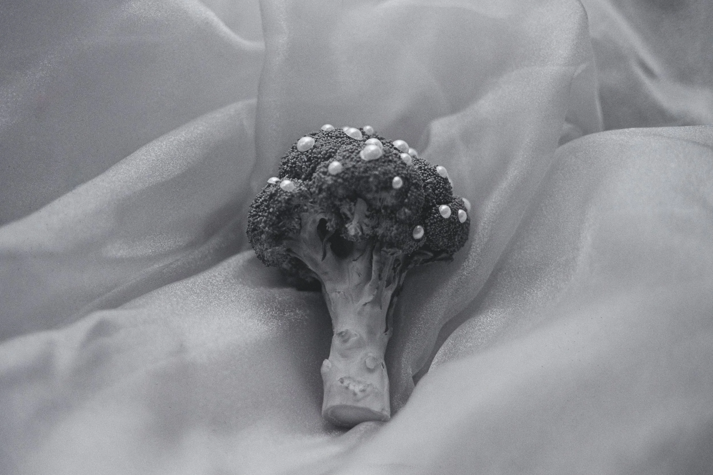 Bedazzled - Broccoli - 2025