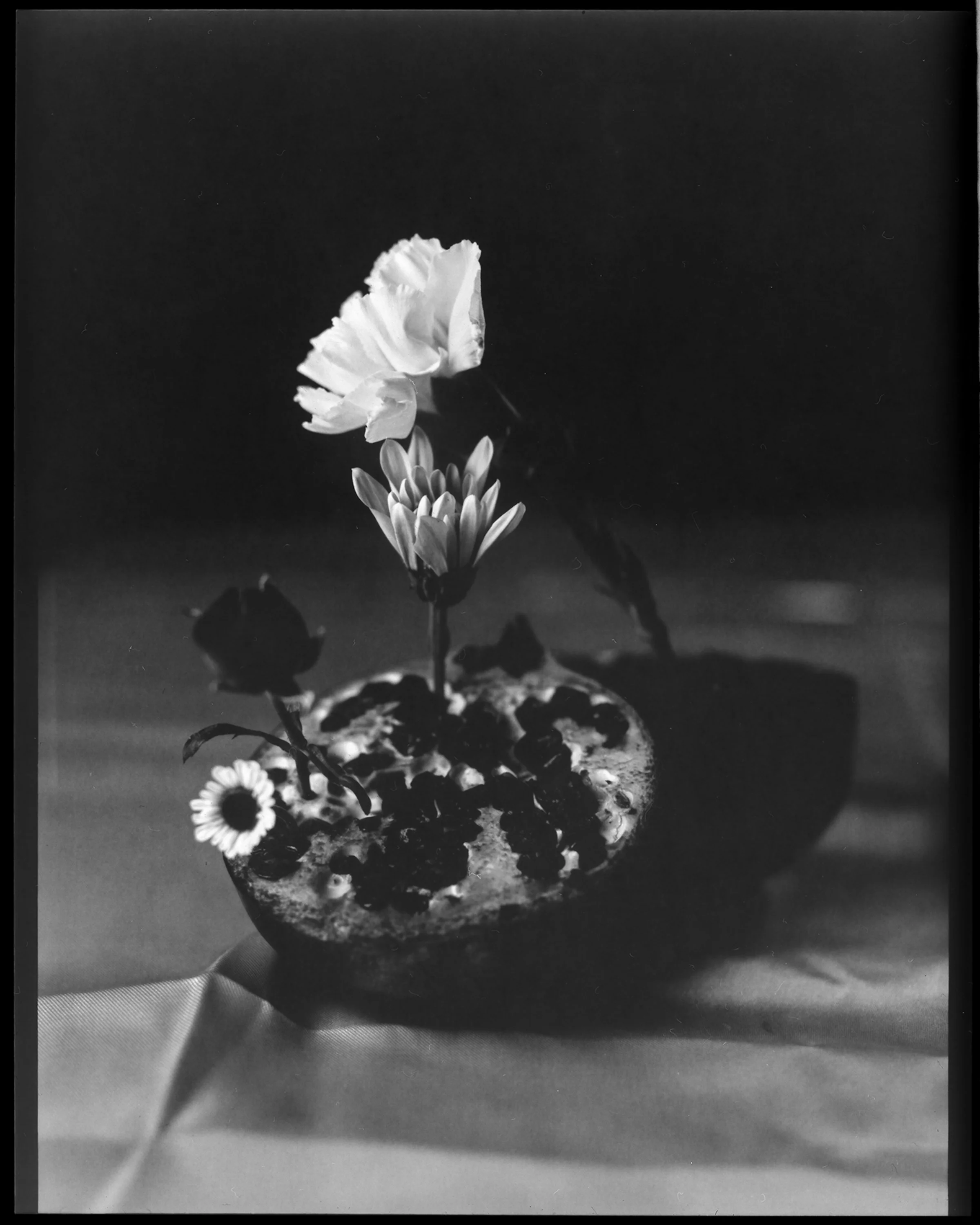 4x5 Paper - 'Fruit of Labor' - 2026