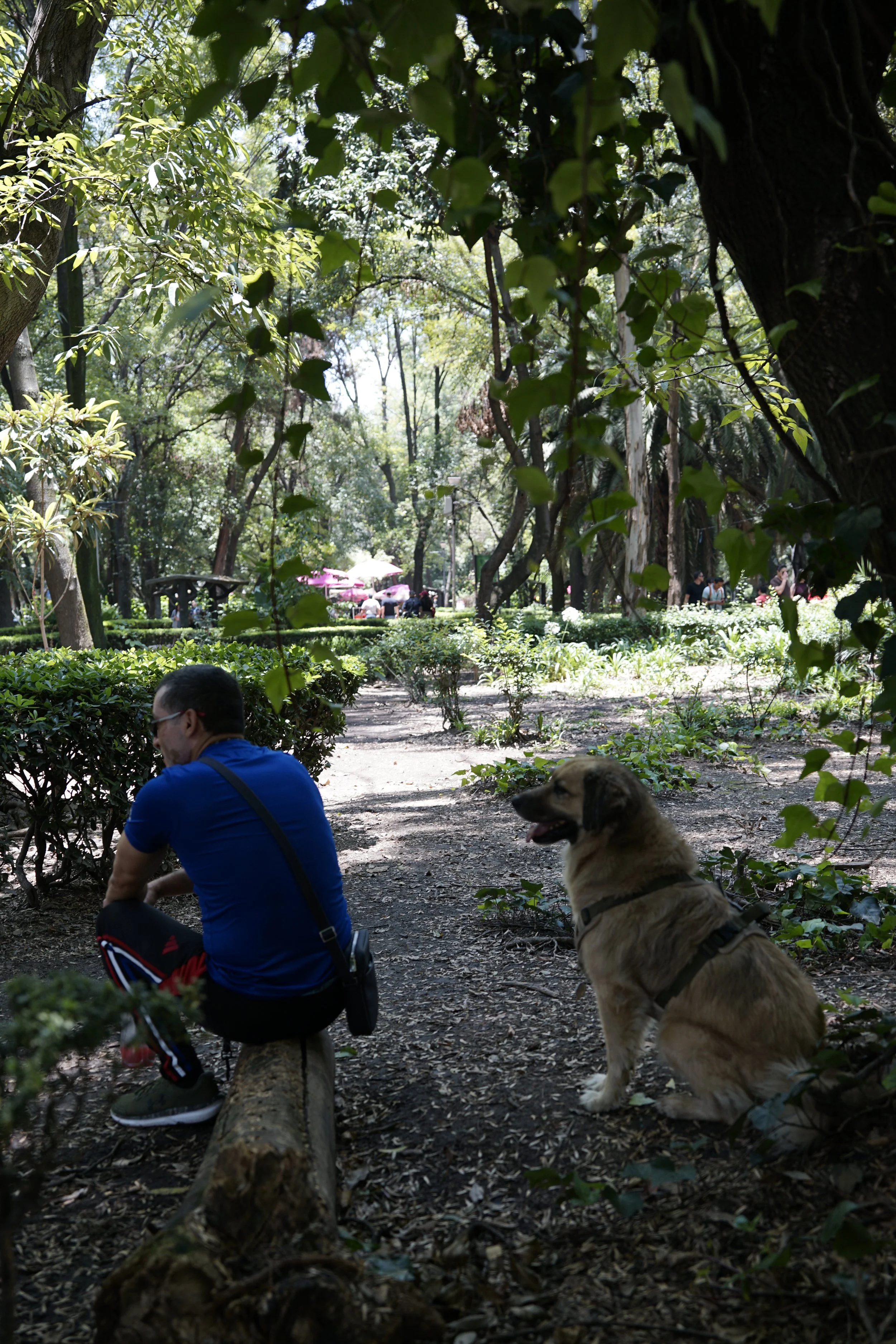 _DSC5908.jpeg