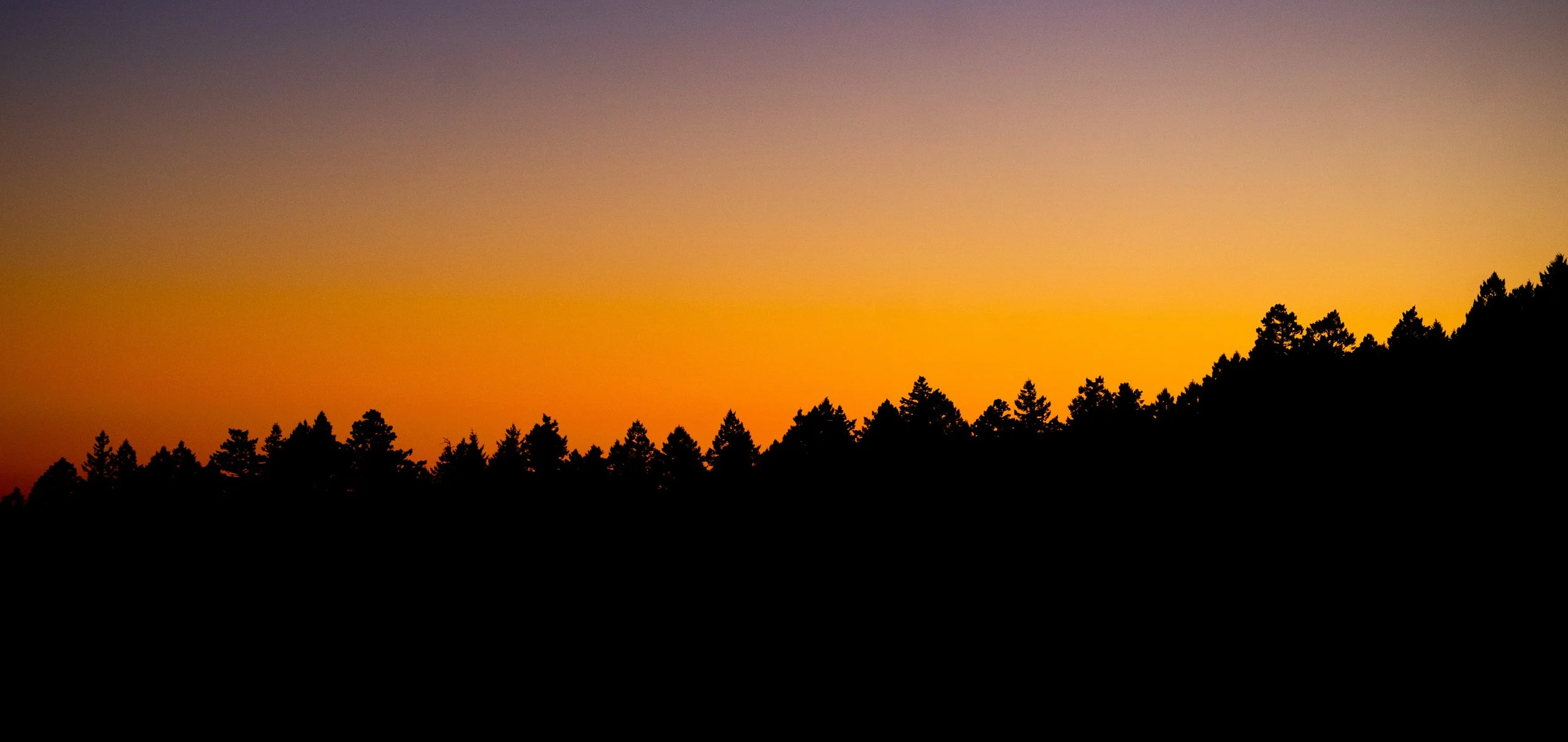 _DSC6453.jpg