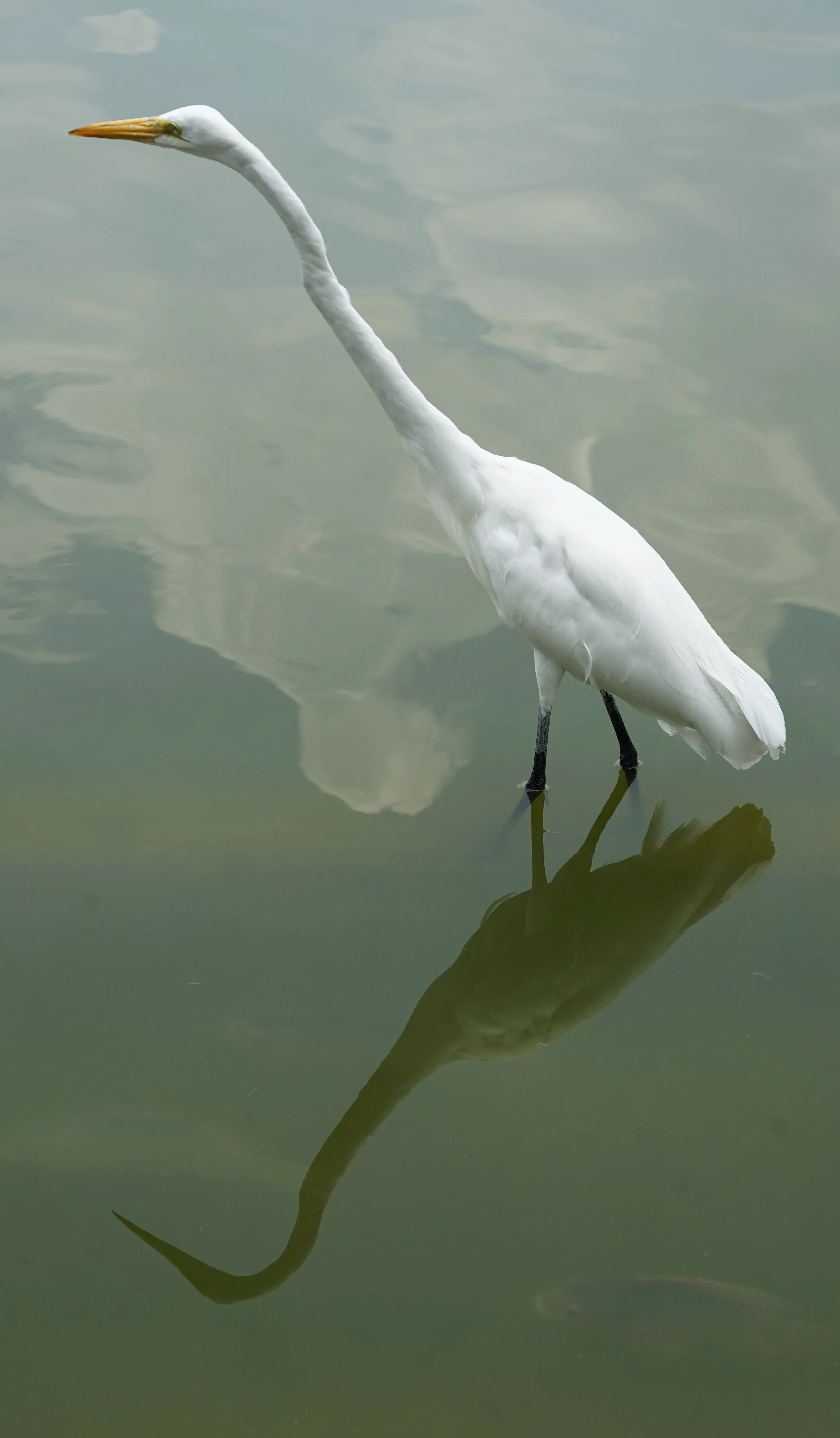 _DSC5792.jpeg