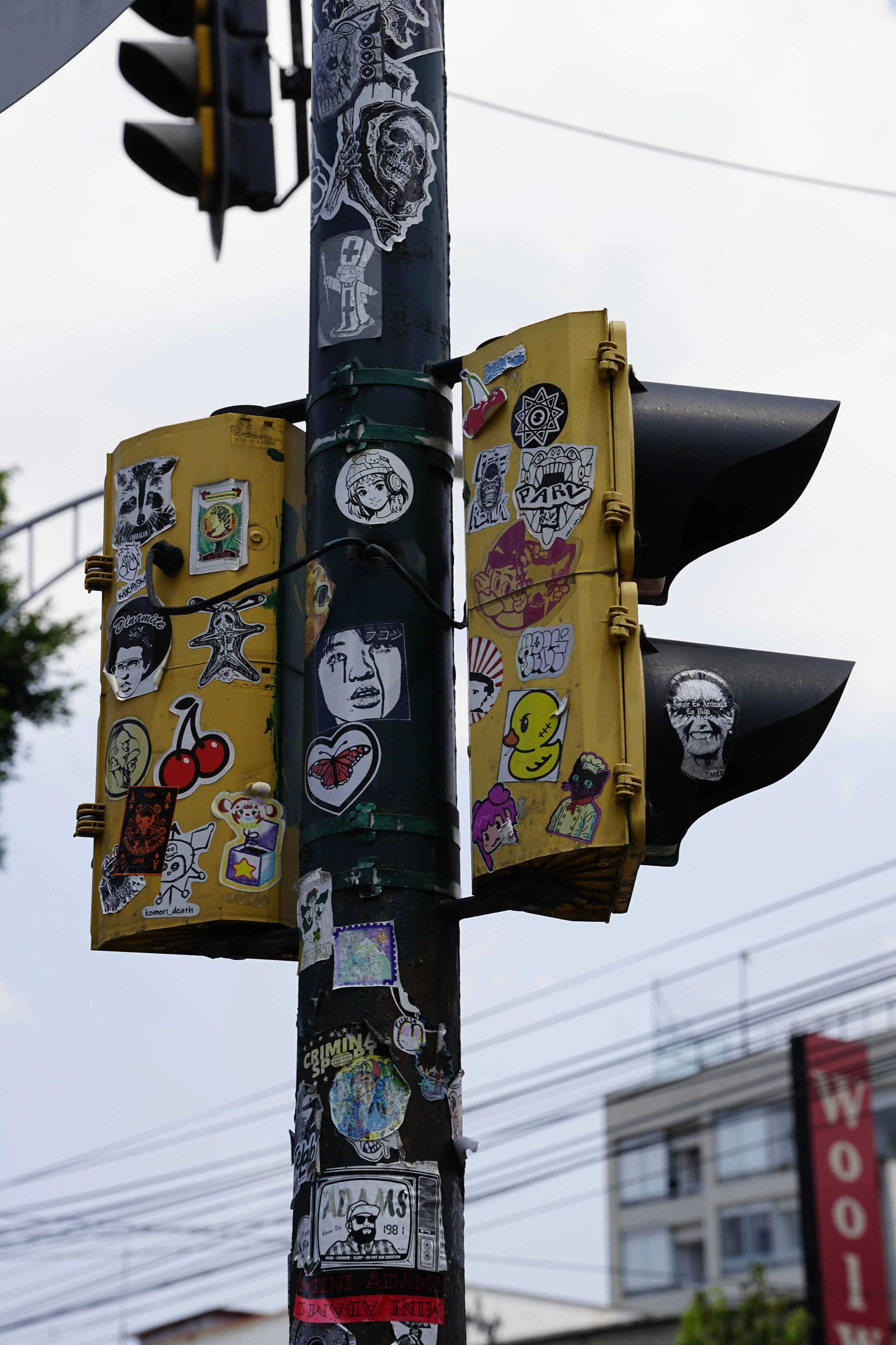 _DSC5982.jpeg