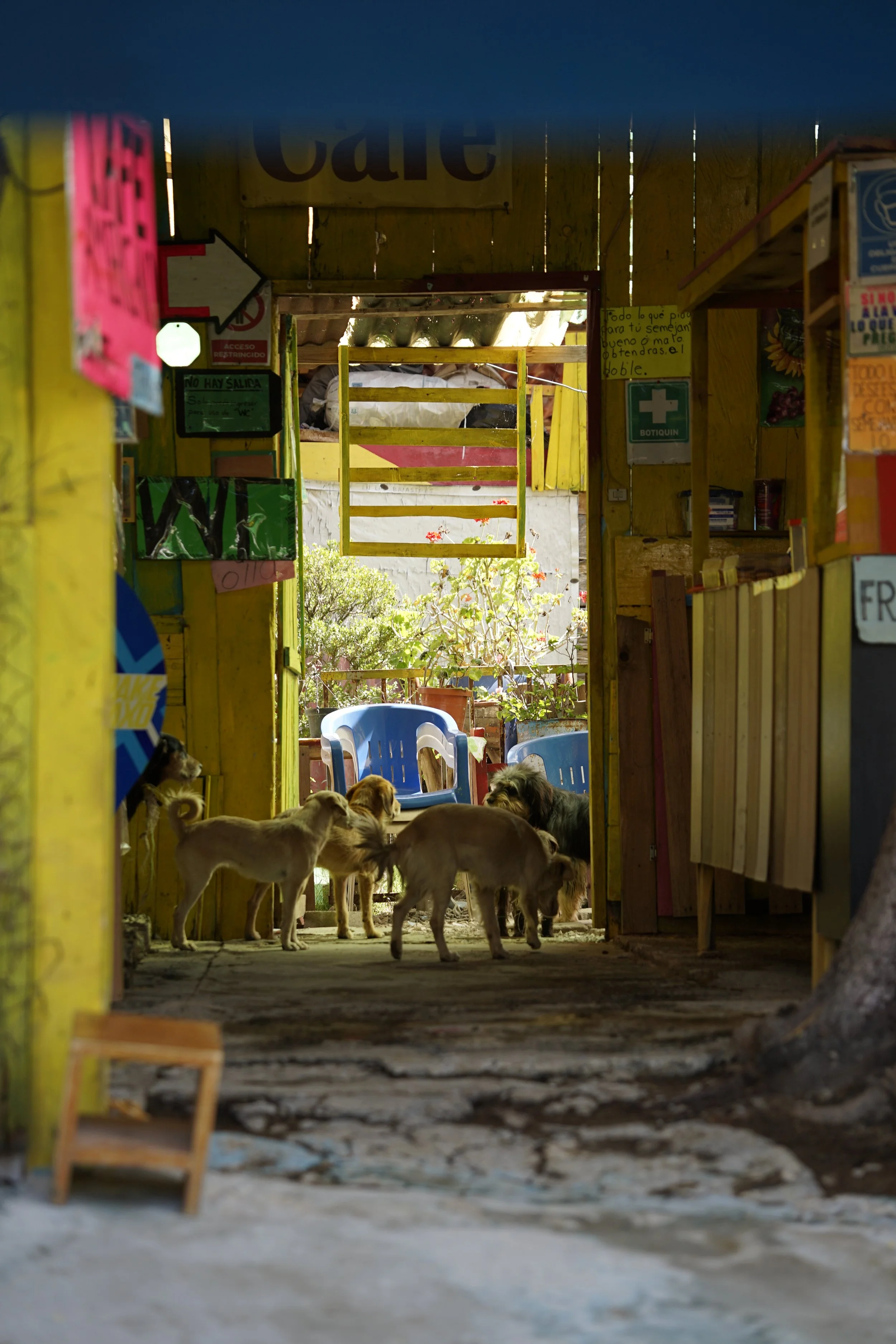 _DSC6110.jpeg