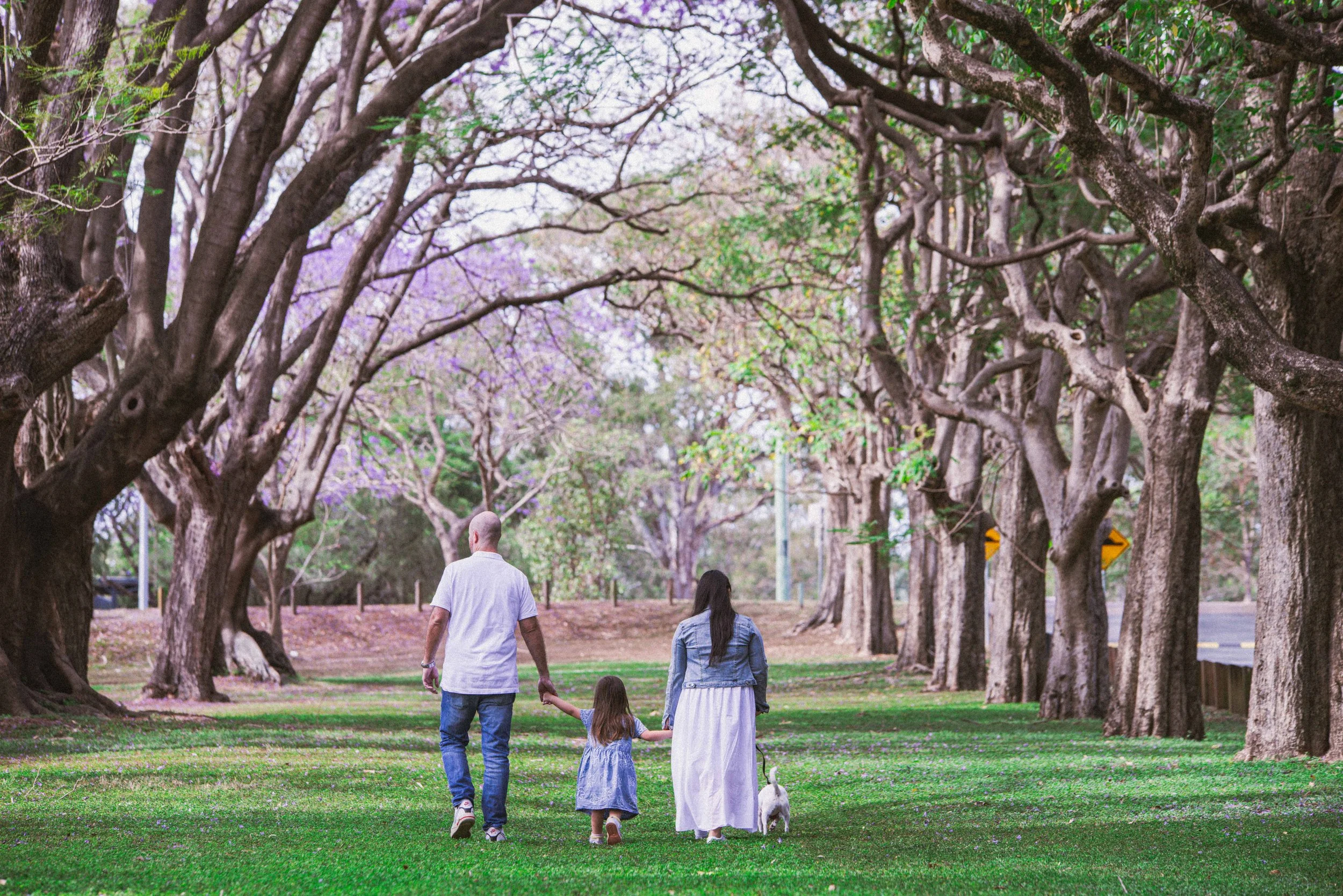 A family walking hand in hand through a park with tall, leafy trees and purple blooming flowers.