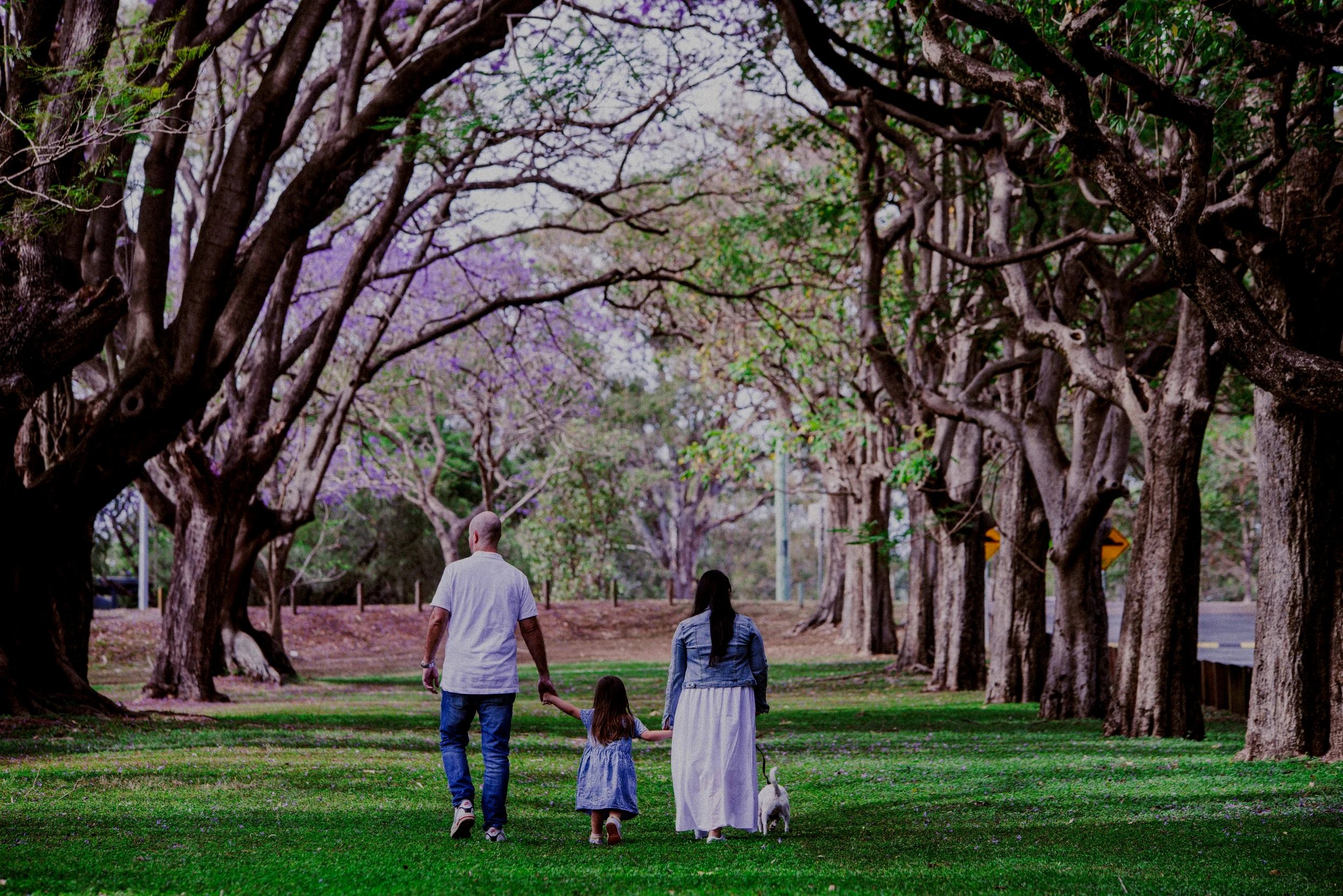 A family of three with a small dog walking on a green grass path lined with tall trees, some with purple flowers, during daytime.