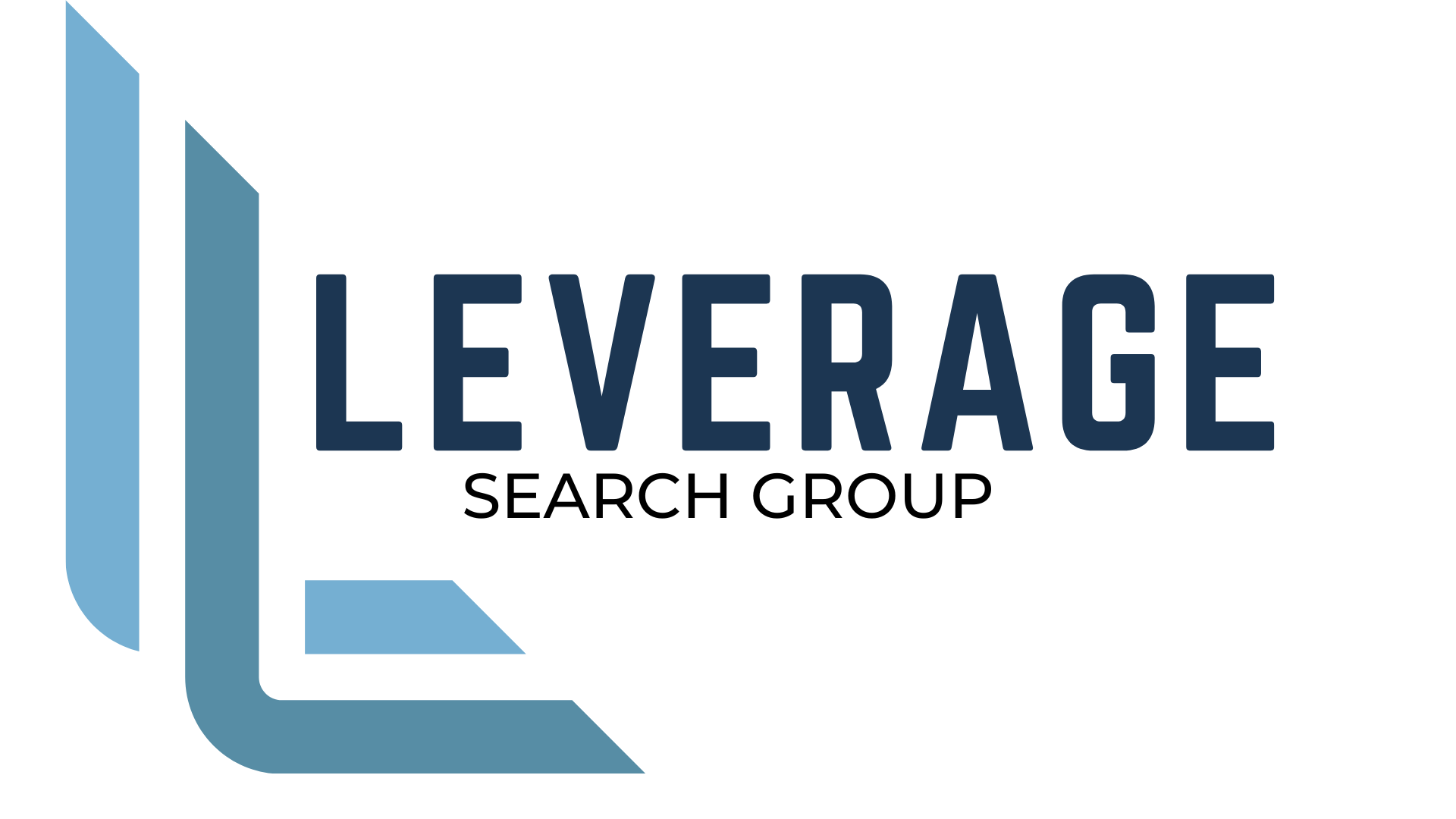Leverage Search Group