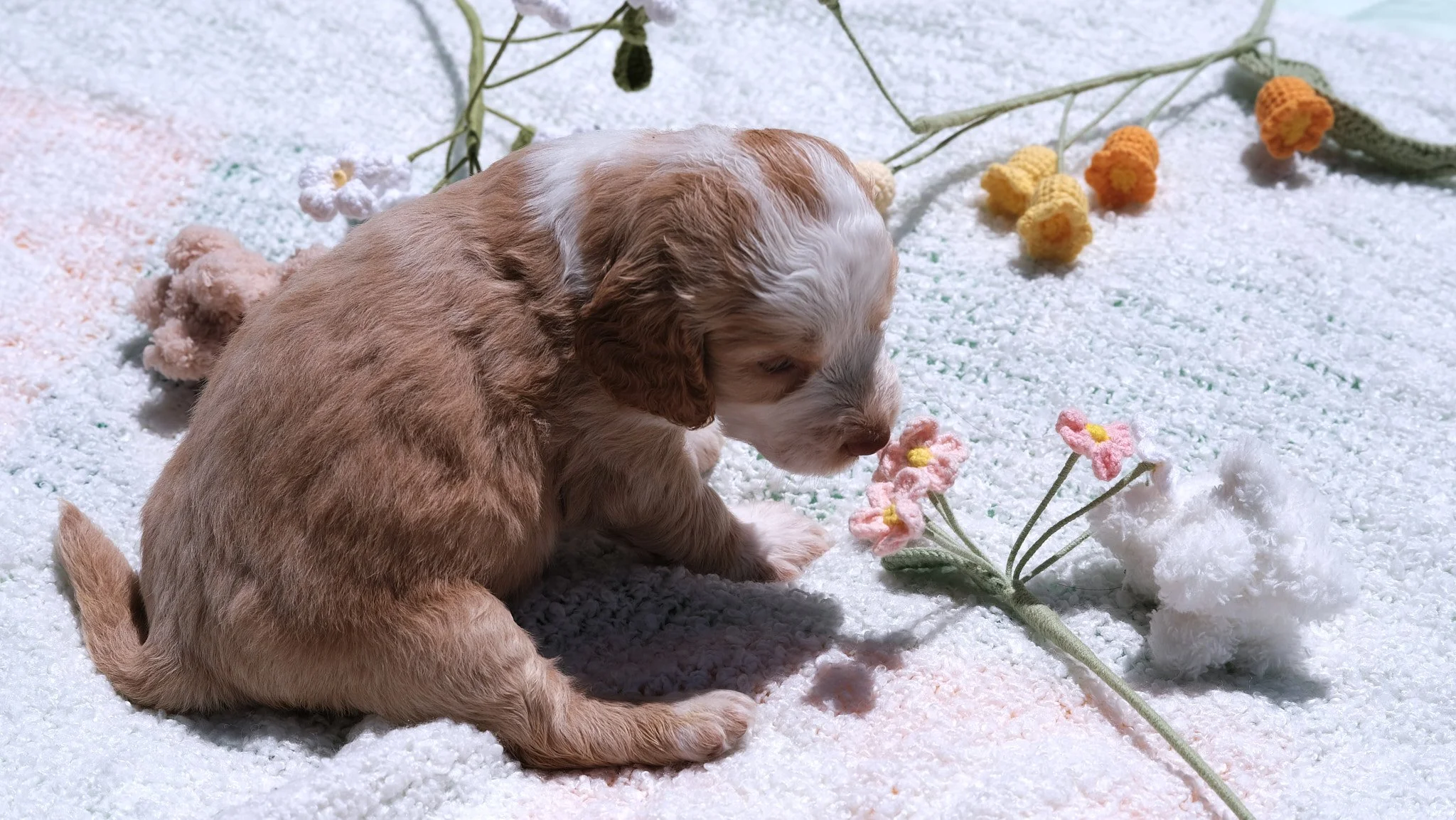A cute puppy sitting on a soft white surface surrounded by colorful knitted flowers, with a small white knitted animal nearby.