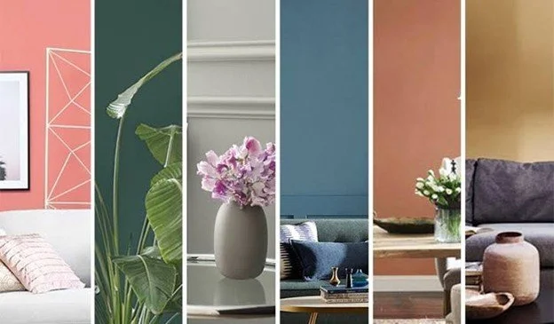 Colour Palette 