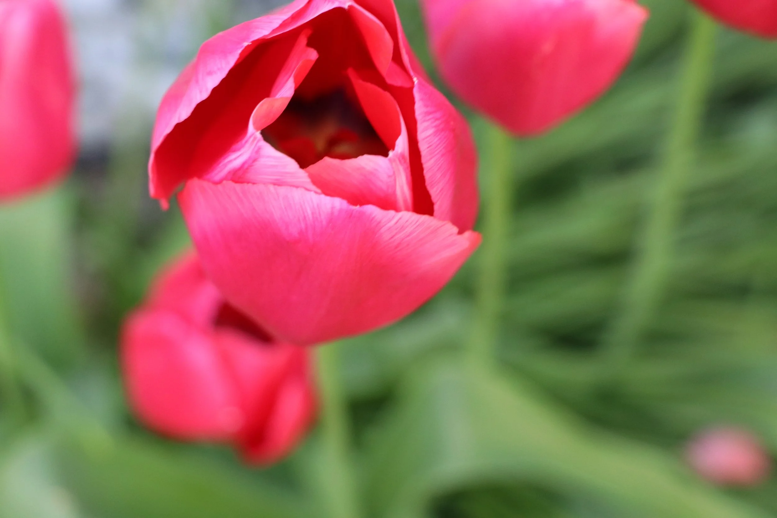 IMG_3545.JPG
