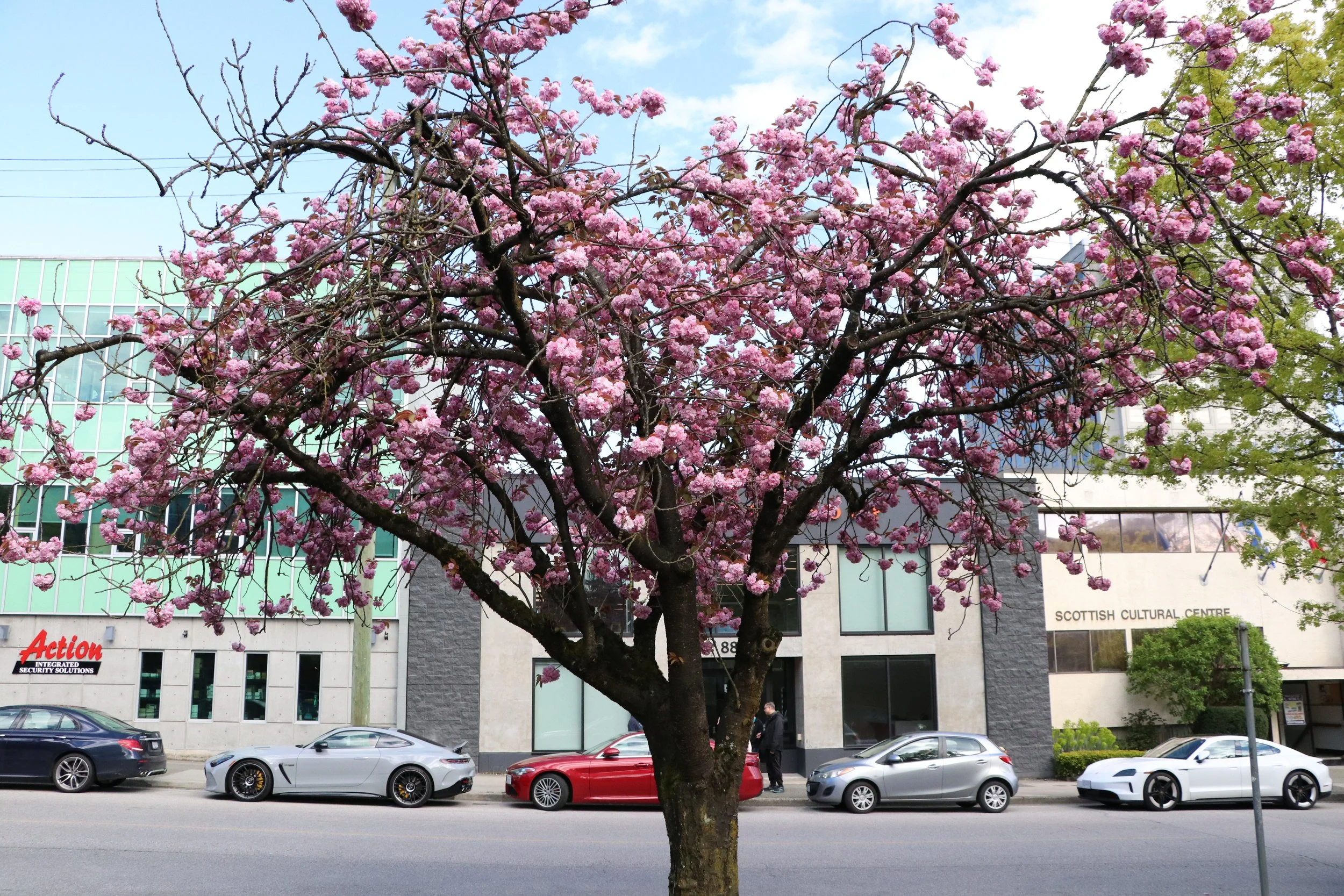 Best of April 2026