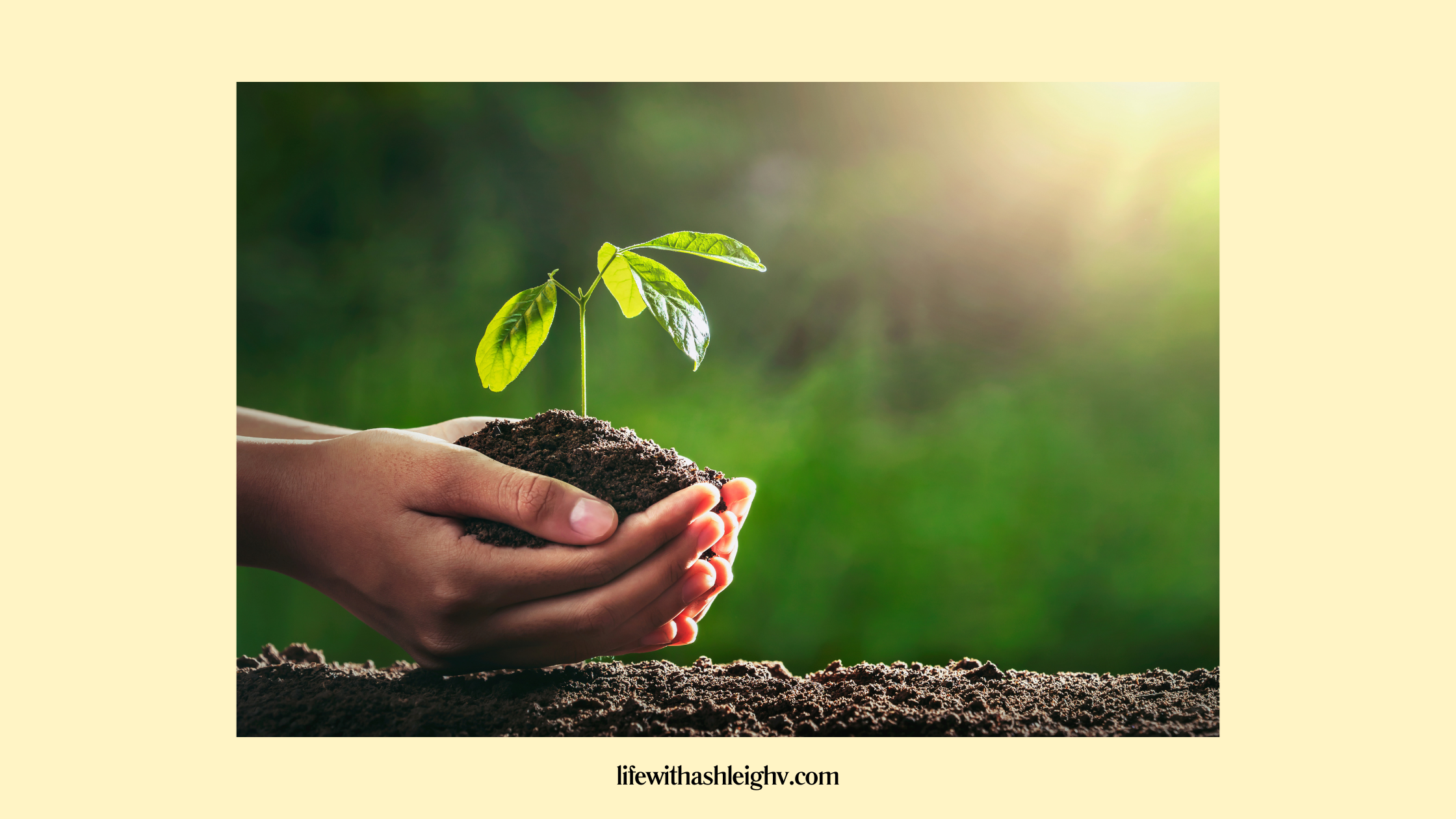 You Can’t Do Executive Functioning Without This…