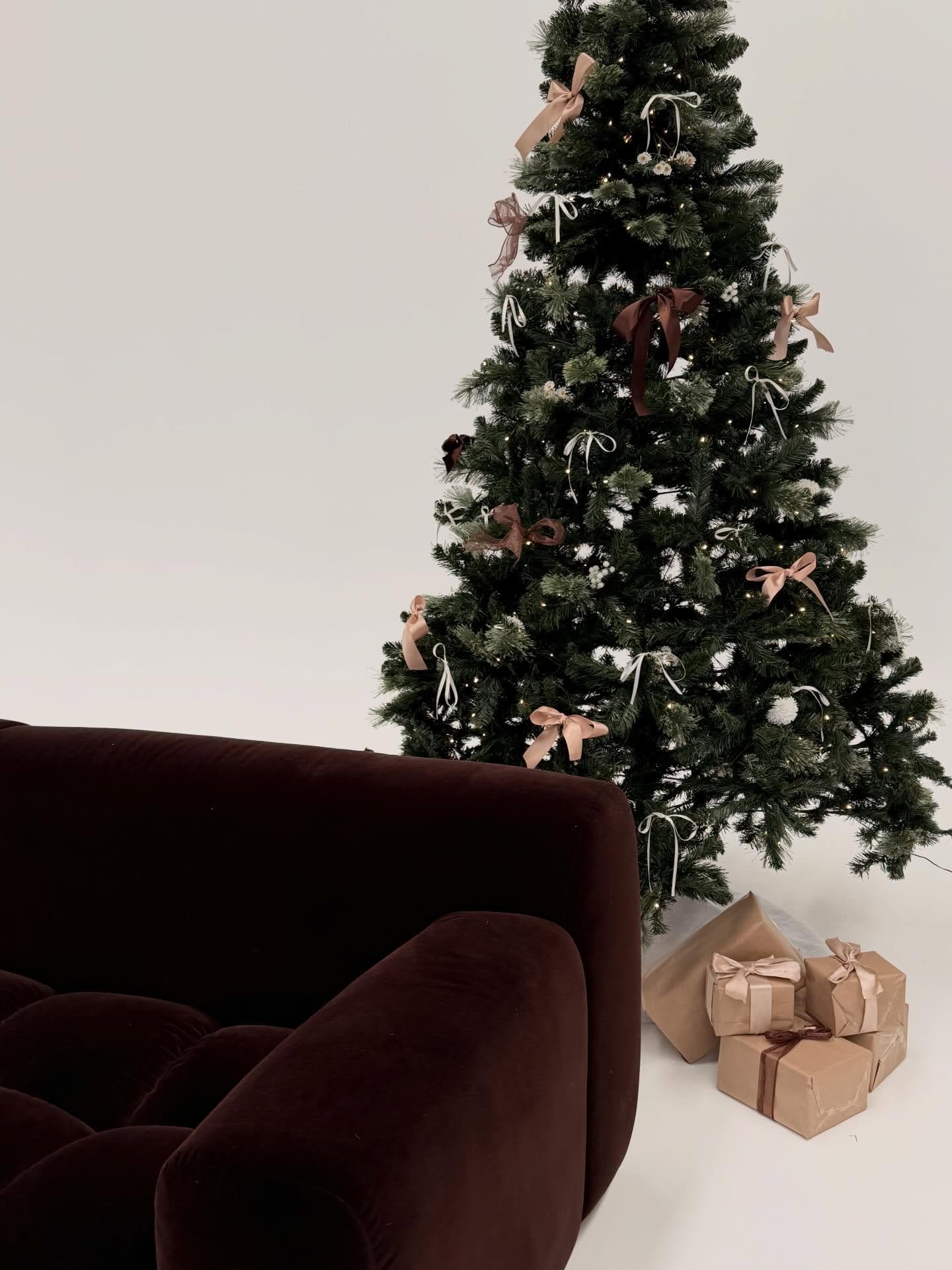 The most aesthetic Christmas tree I ever did see 

#studio #contentspace #eventspace #contentstudio #photographystudio