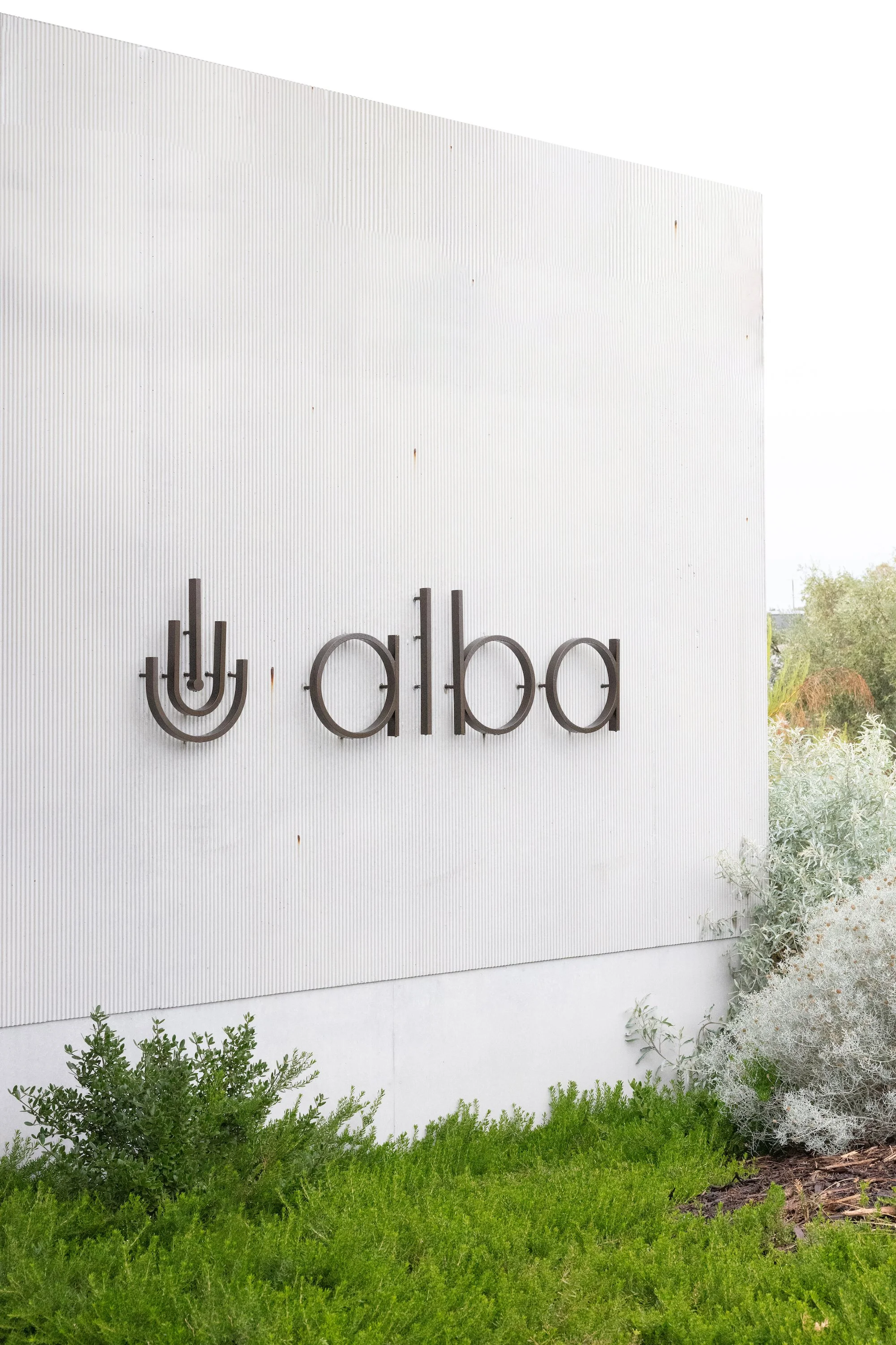 Alba Springs_02.jpg