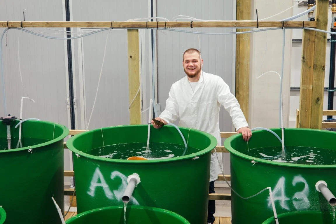 Produserer flatøsters i Lyngdal