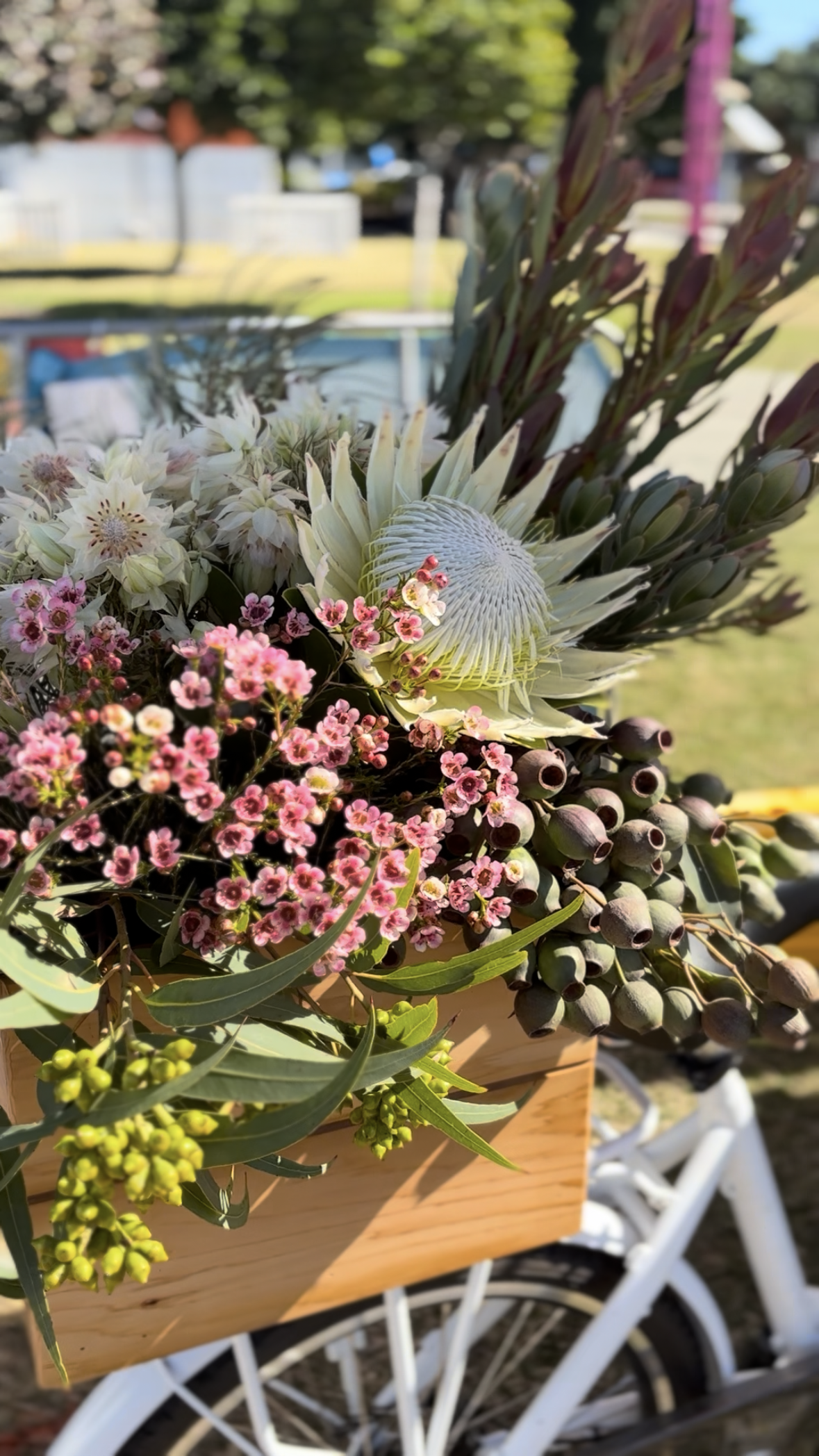 Australian Native flowers for Brand Activation