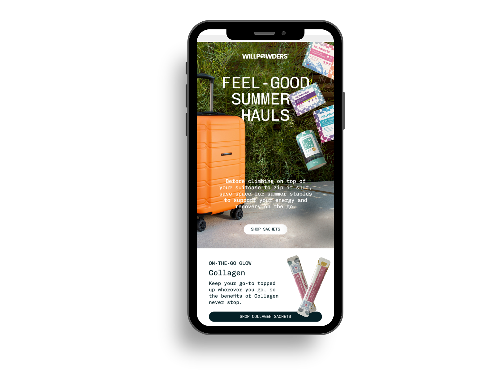 wellness ecomm email.png